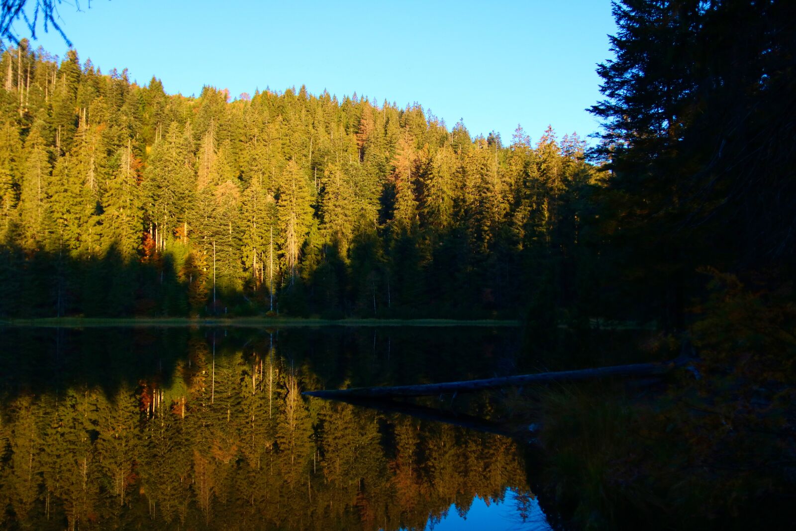 Canon EOS 750D (EOS Rebel T6i / EOS Kiss X8i) sample photo. Lake, forest, sunrise photography