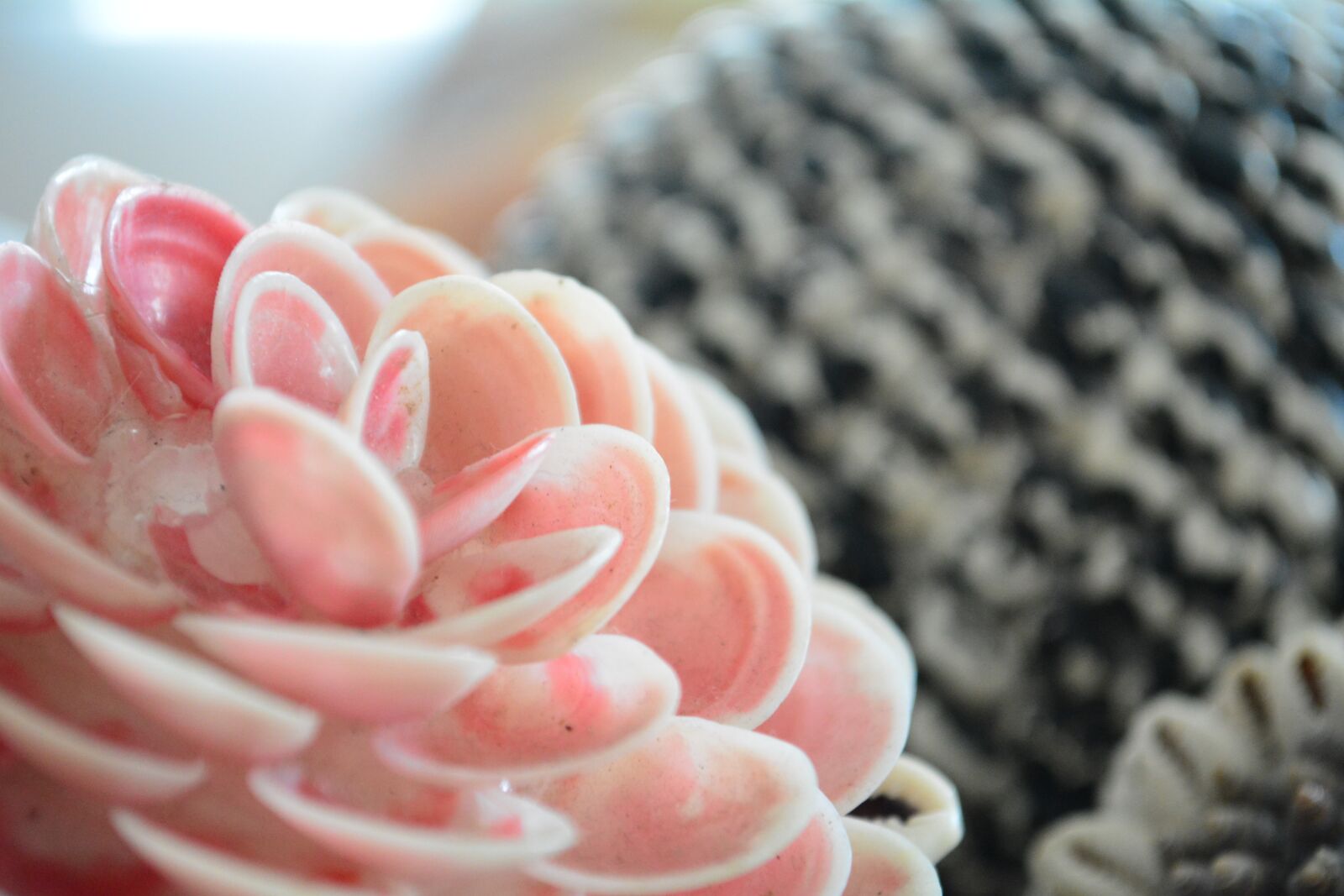 Nikon D5200 sample photo. Flower, texture, petals photography