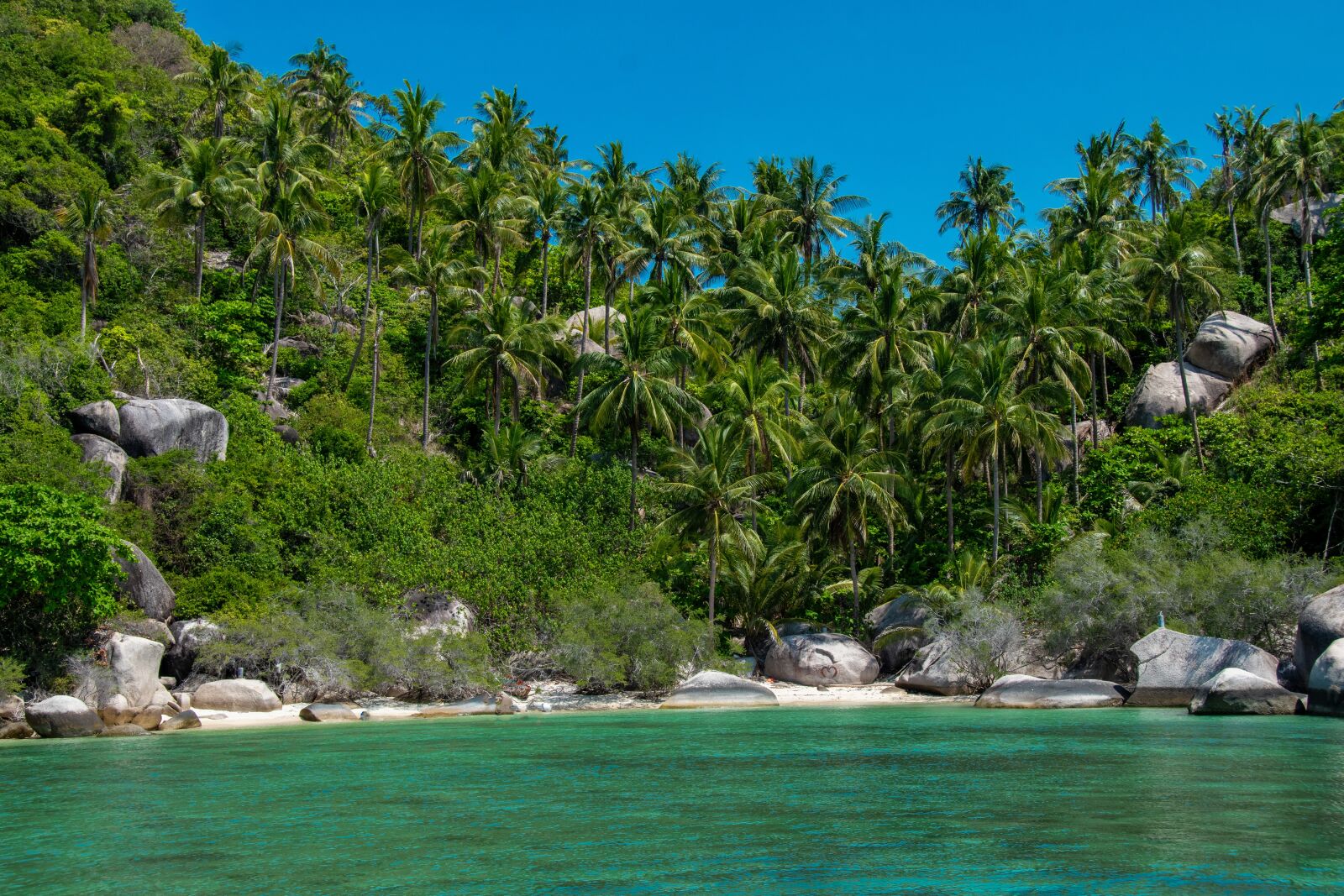 Nikon D5600 sample photo. Sea, mountains, nature photography