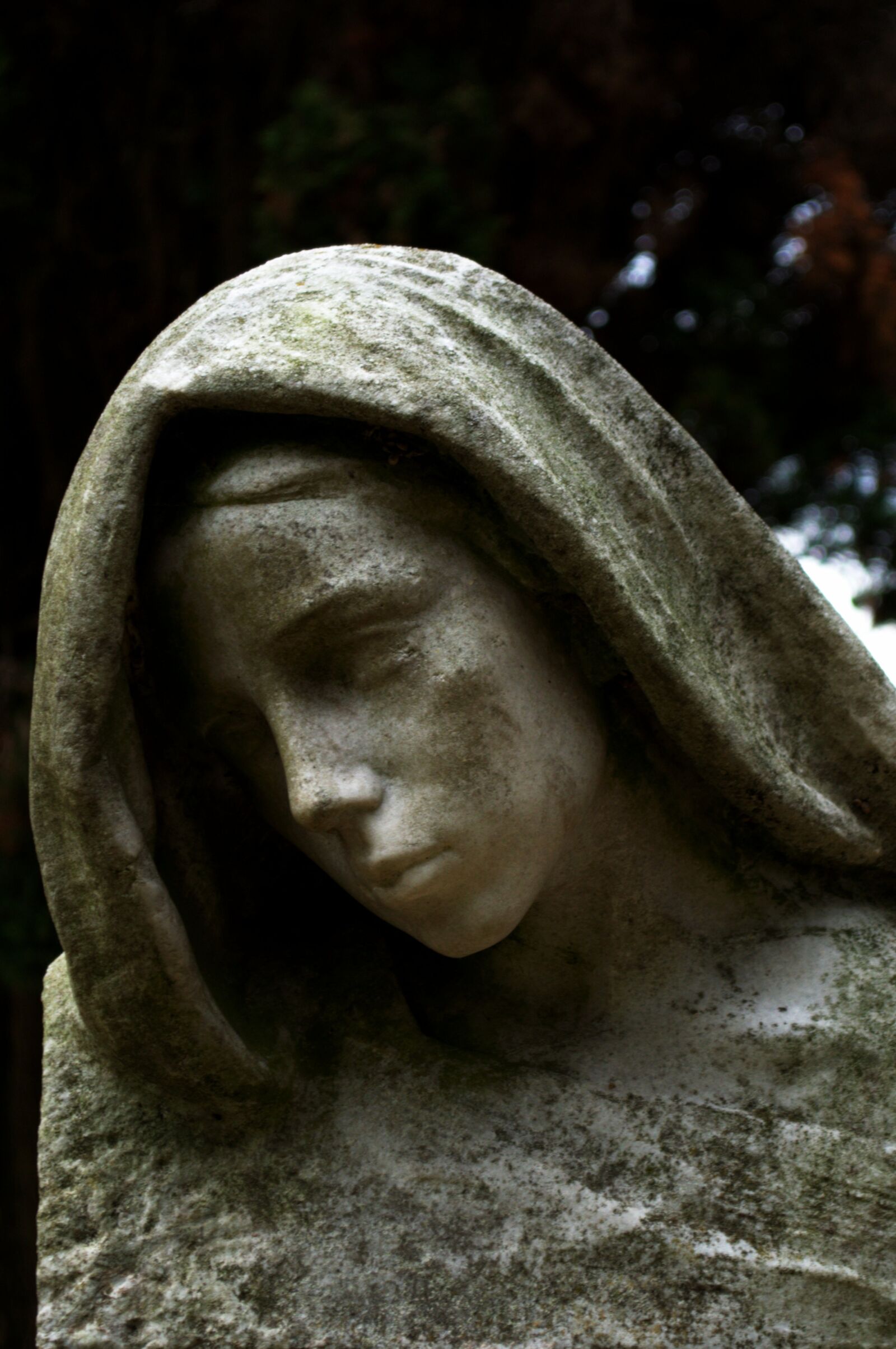 Nikon D5100 sample photo. Statue, madonna, sculpture photography