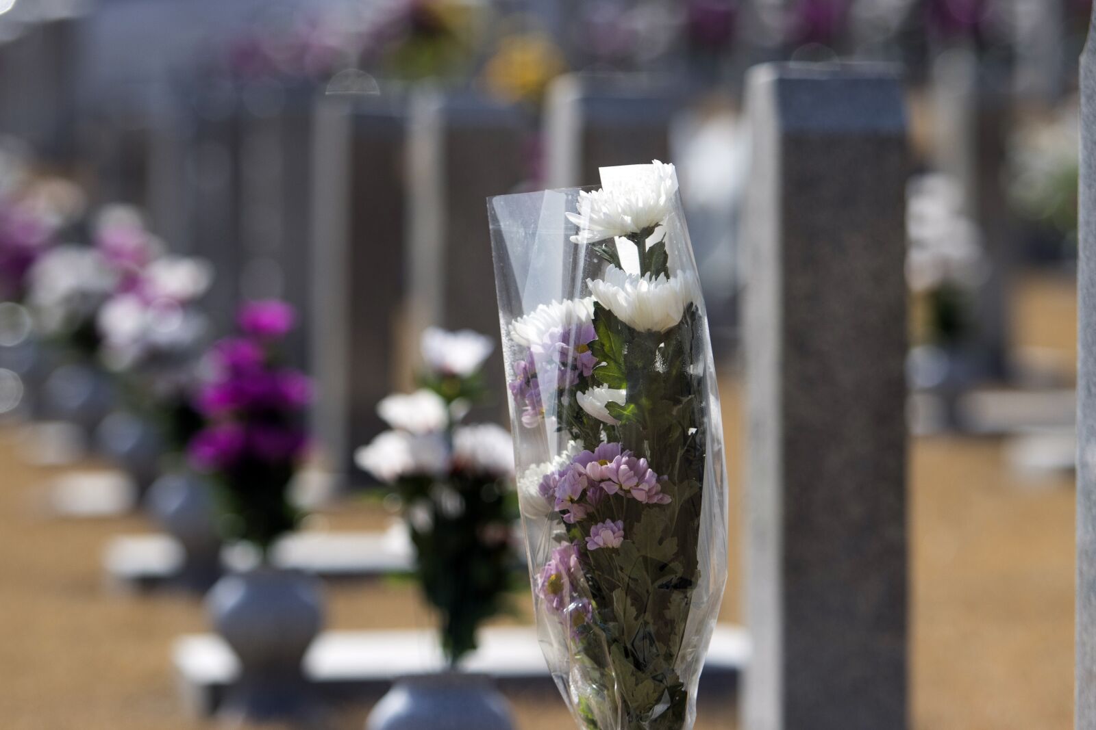 Canon EF 70-200mm F2.8L USM sample photo. National cemetery, memorial, mourning photography