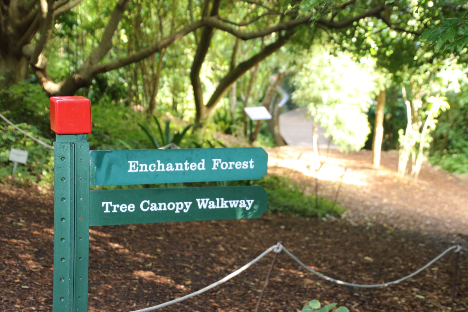 Canon EOS 7D Mark II sample photo. Forests, garden, walkway photography