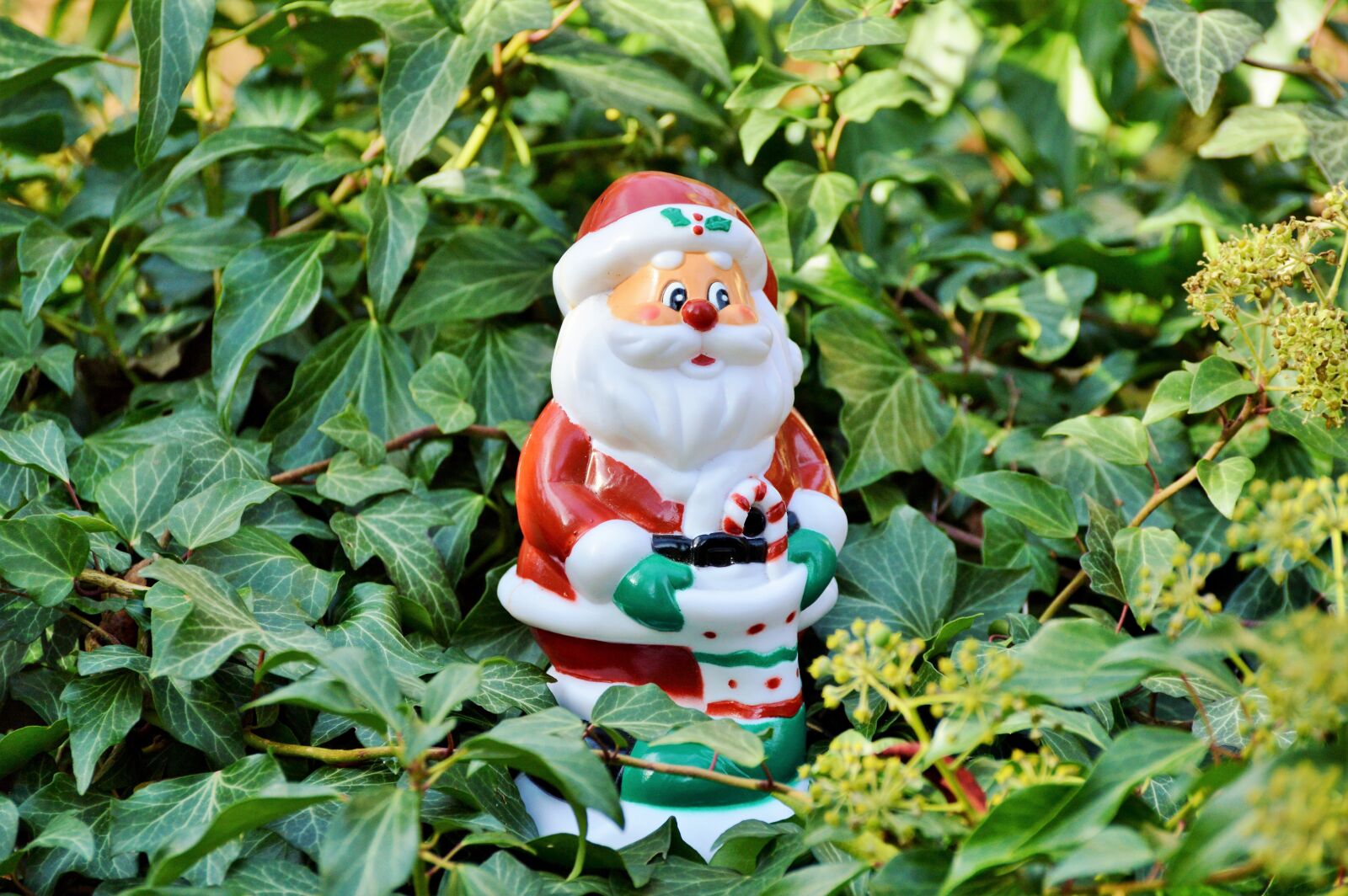 Nikon D3200 sample photo. Nicholas, santa claus, christmas photography