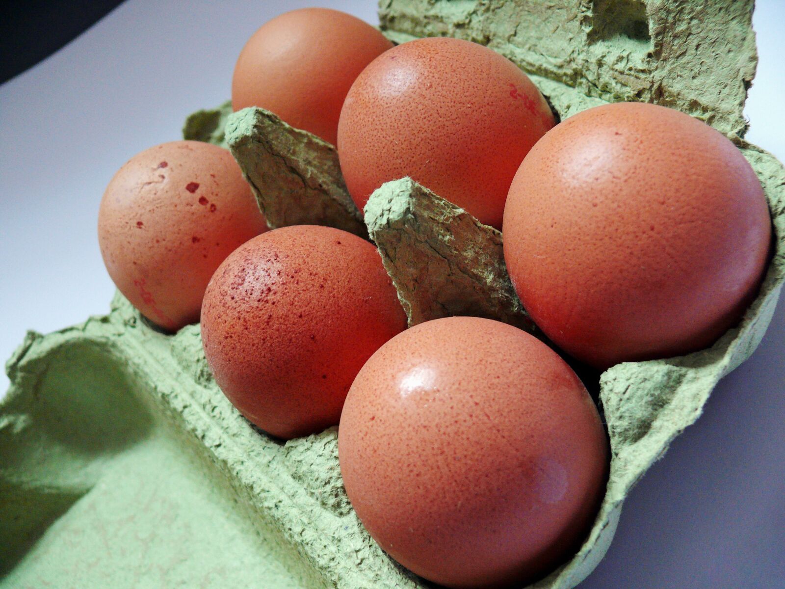 Leica V-LUX 1 sample photo. Egg, egg carton, chicken photography