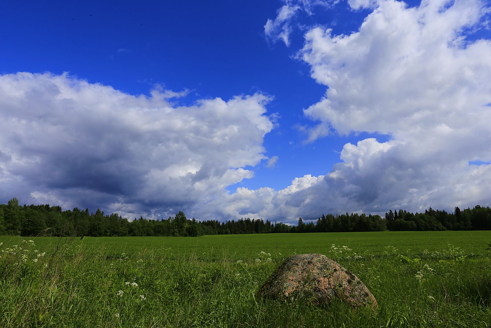 Canon EOS 6D + Canon EF 17-40mm F4L USM sample photo. Landscape, village, russian remote photography