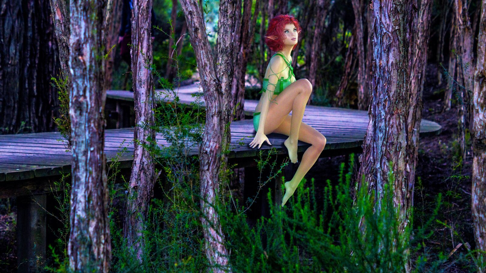 Sony SLT-A57 sample photo. Elf, fantasy, boardwalk photography