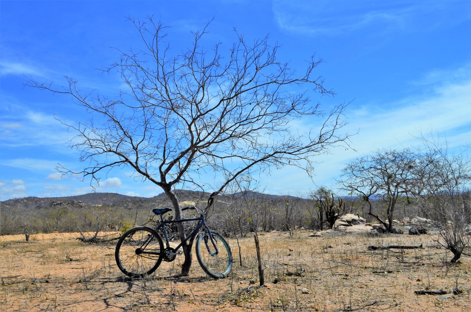 Nikon D5100 sample photo. Northeast, the landscape of photography