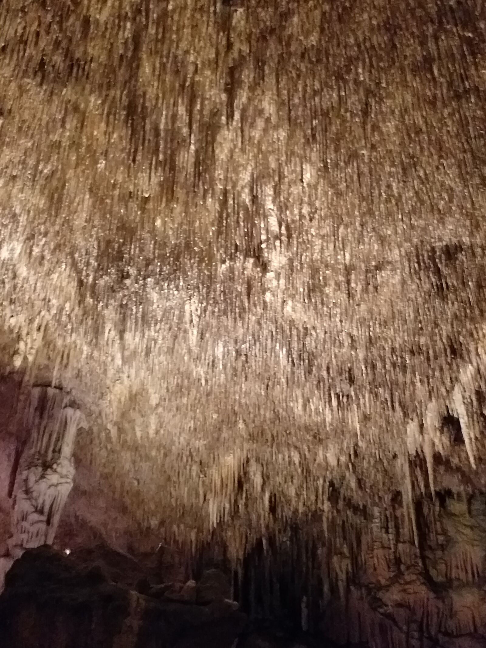 Samsung Galaxy J4+ sample photo. Dragon's lair, mallorca, vacations photography