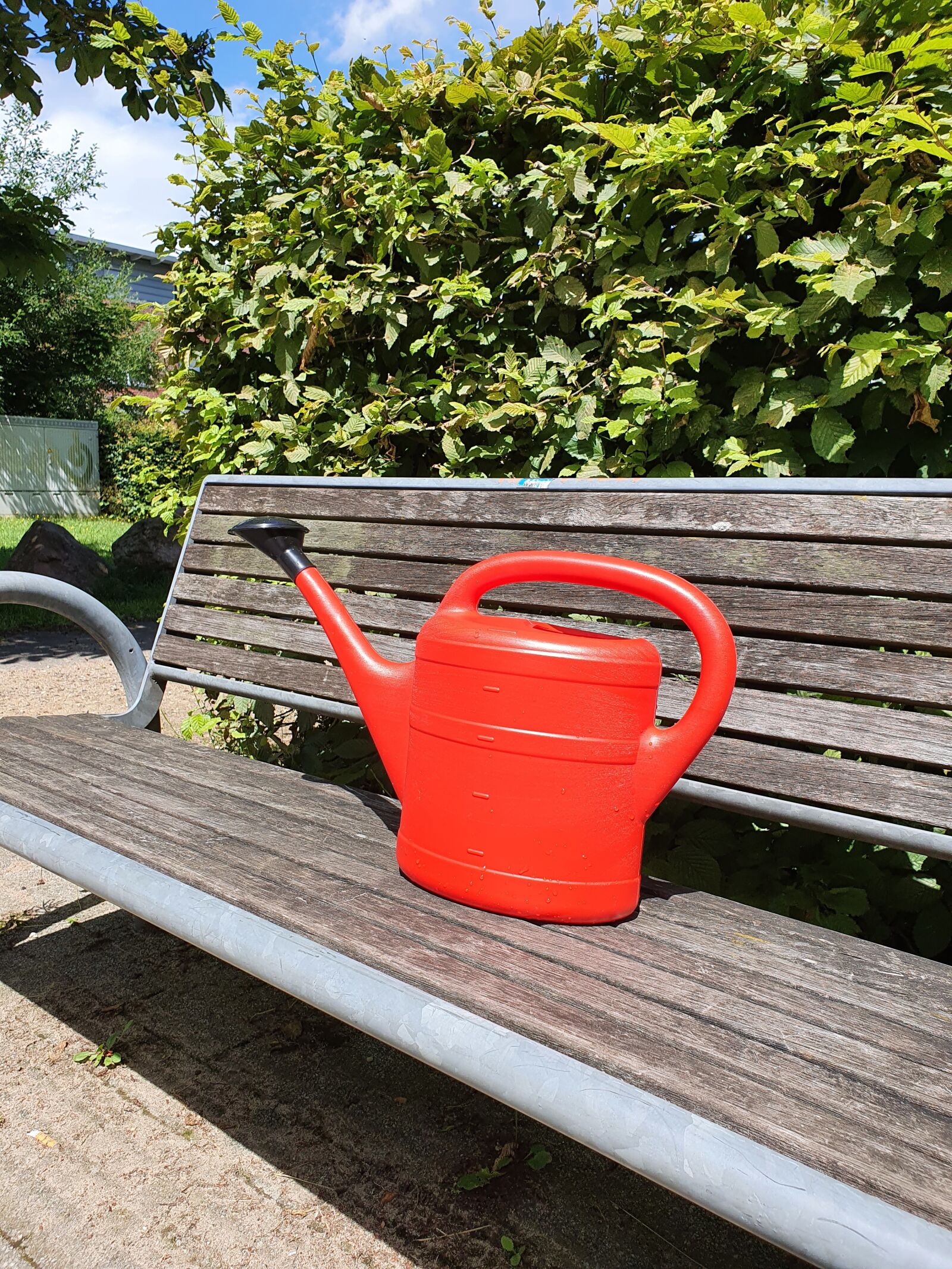 Samsung Galaxy S10+ sample photo. Watering can, red, policy photography
