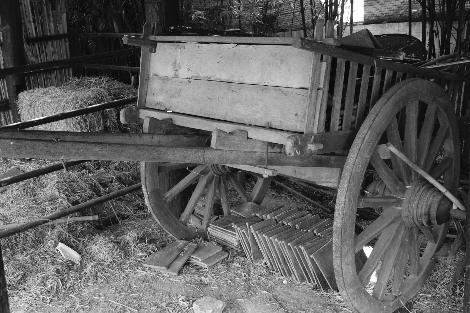 Canon EOS 700D (EOS Rebel T5i / EOS Kiss X7i) sample photo. Cart, oxcart, horse drawn photography