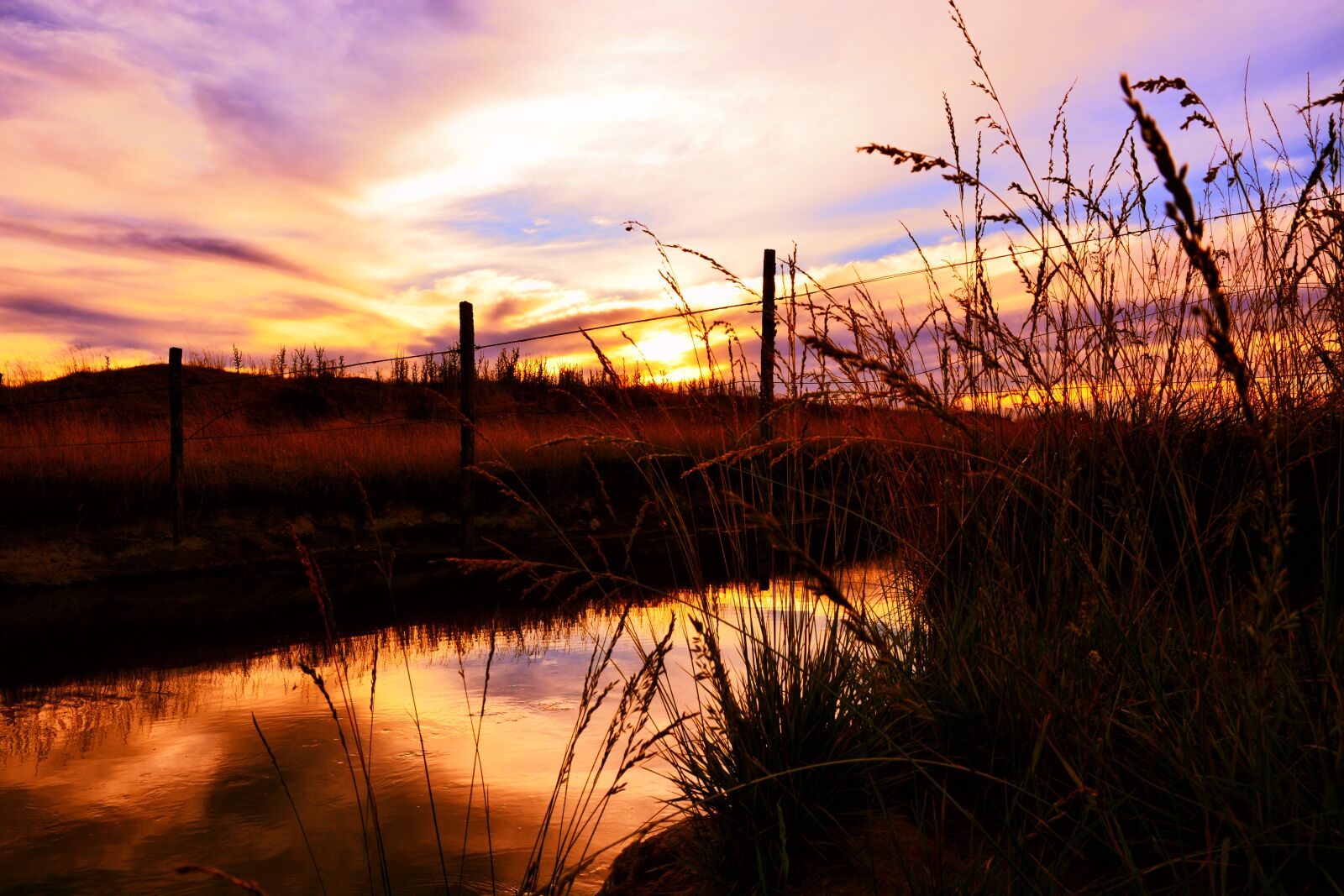 Nikon D5200 sample photo. Sunset, nature, body of photography