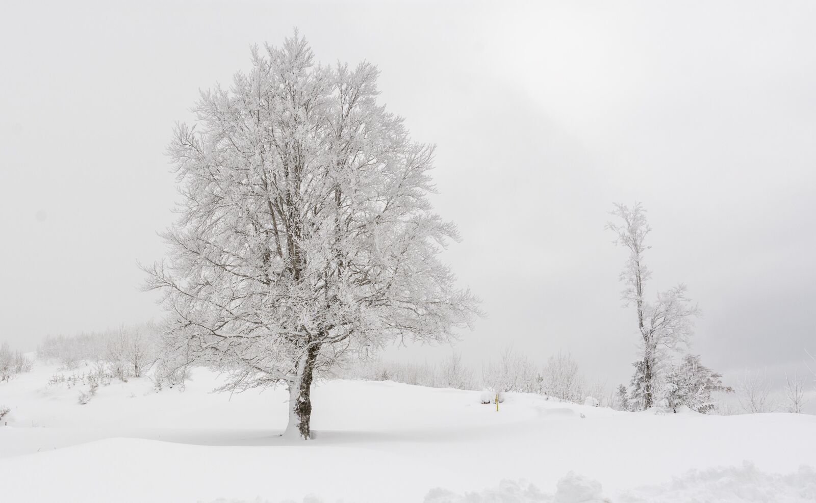 Tamron SP 24-70mm F2.8 Di VC USD sample photo. Snow, winter, people photography