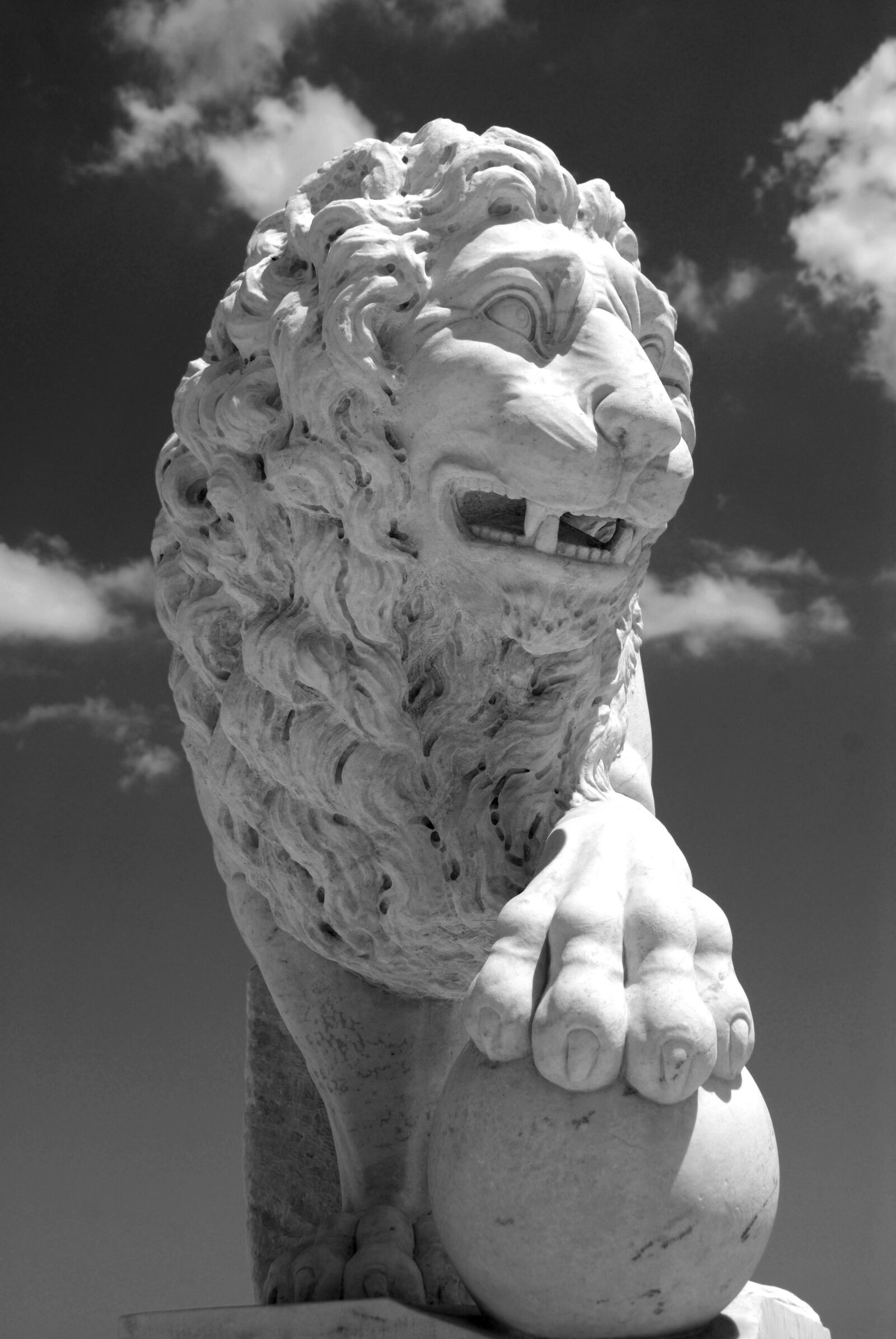 Nikon D200 sample photo. Bridge of lions, landmark photography