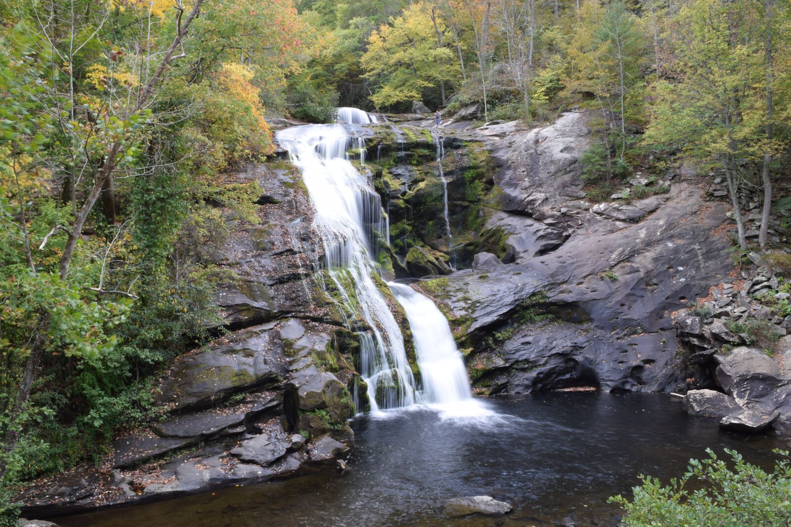 Nikon D3300 sample photo. North carolina, nature, outdoor photography