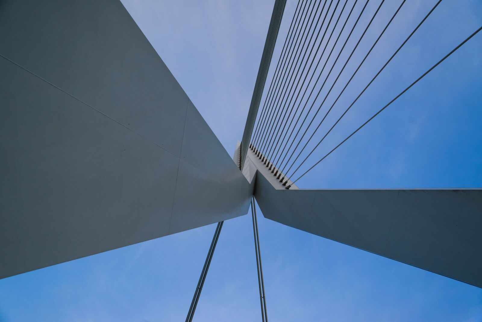 Nikon D610 sample photo. Bridge, erasmus, rotterdam photography