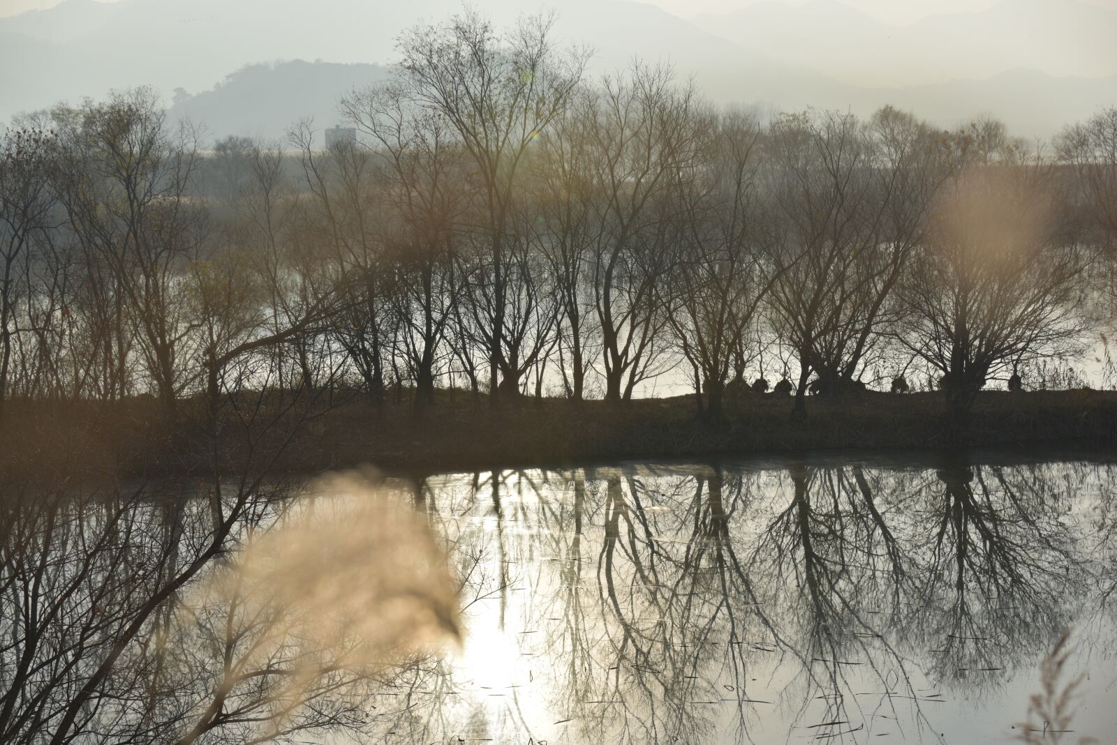 Nikon D810 sample photo. The main south reservoir photography