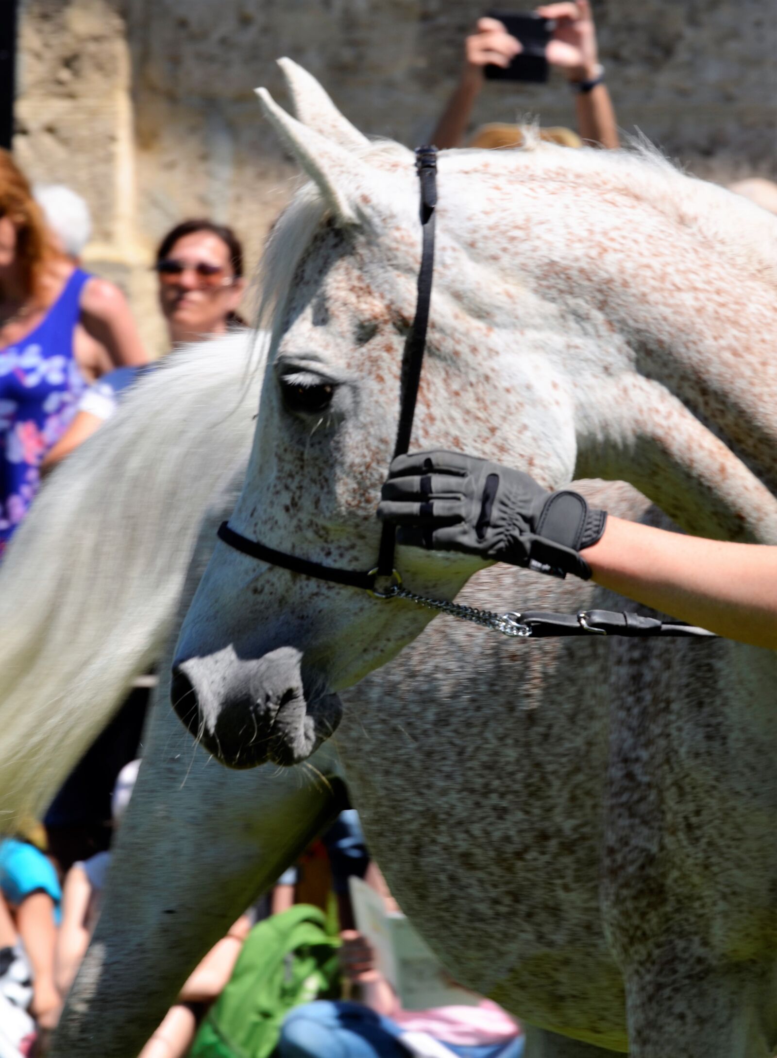 Nikon D5100 sample photo. Main and state stud photography