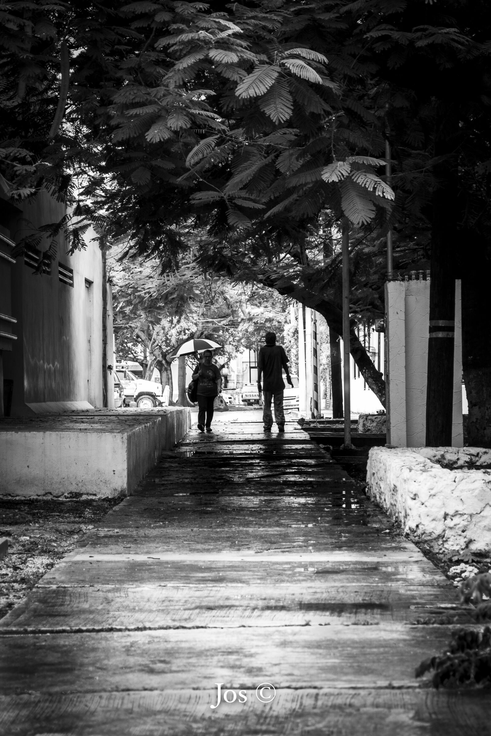 Nikon D7100 sample photo. Street, b w, city photography