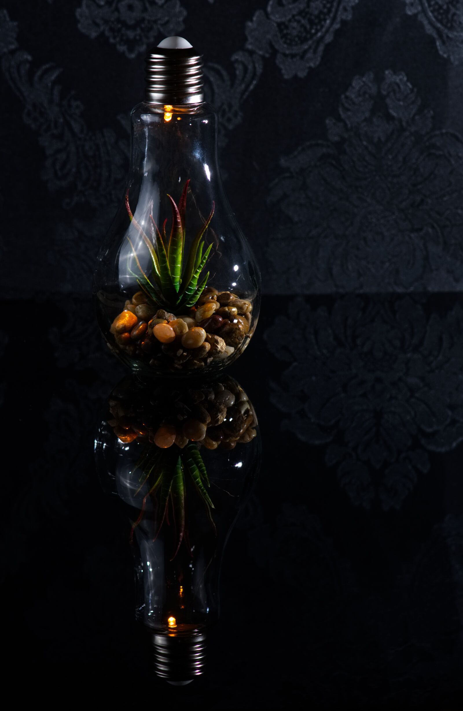 Nikon D7200 sample photo. Light bulb, energy, environmental photography