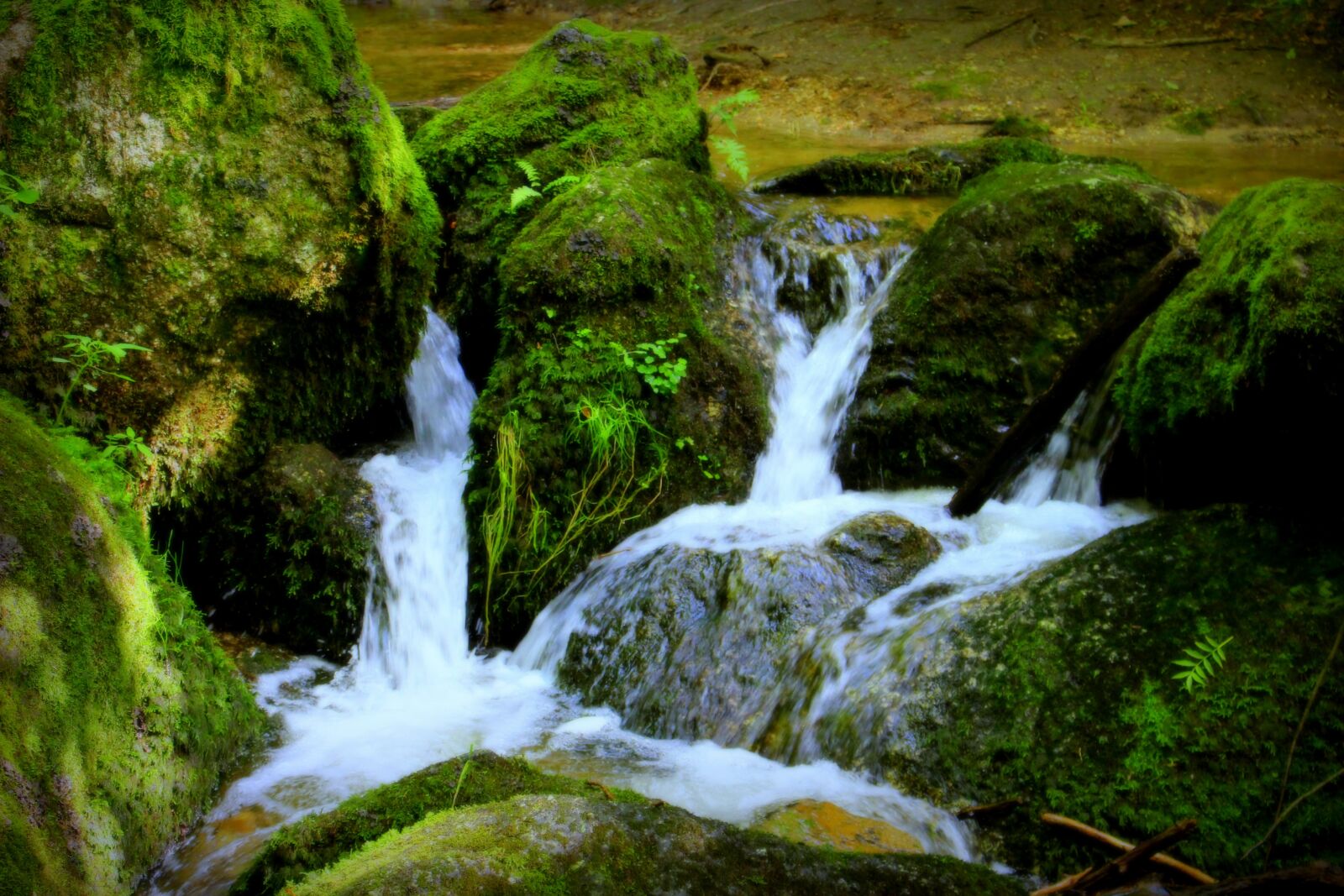 Canon EOS 100D (EOS Rebel SL1 / EOS Kiss X7) sample photo. Water, stones, moss photography