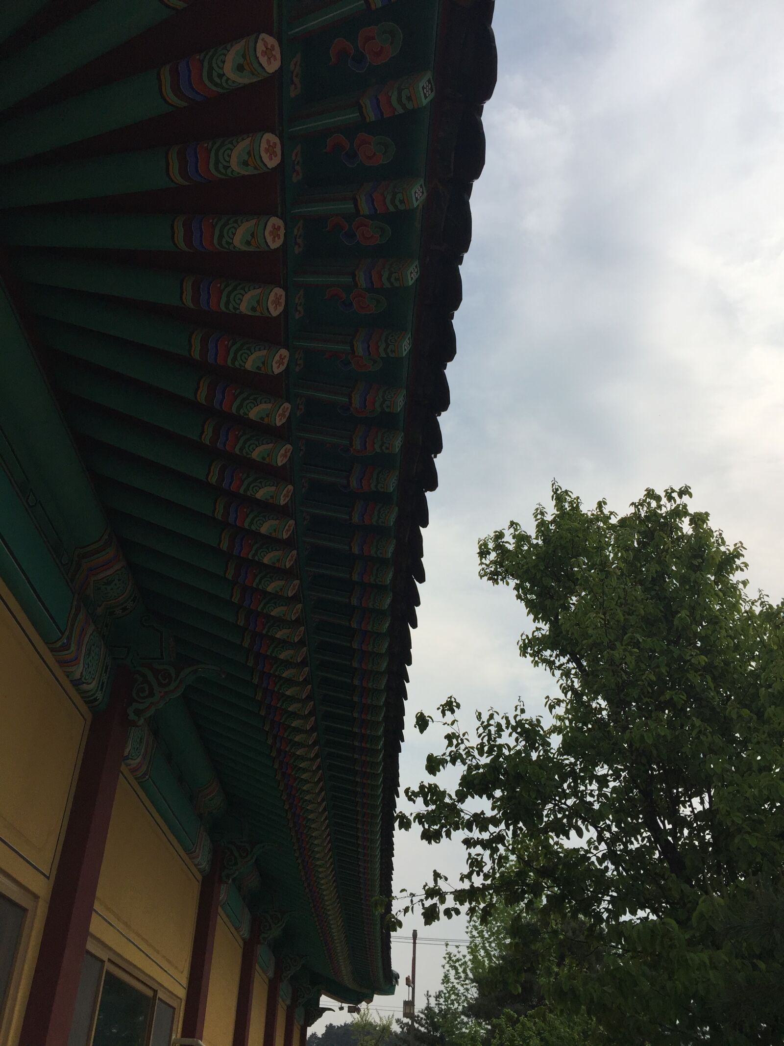 iPhone 6 Plus back camera 4.15mm f/2.2 sample photo. Ganglung, korea photography
