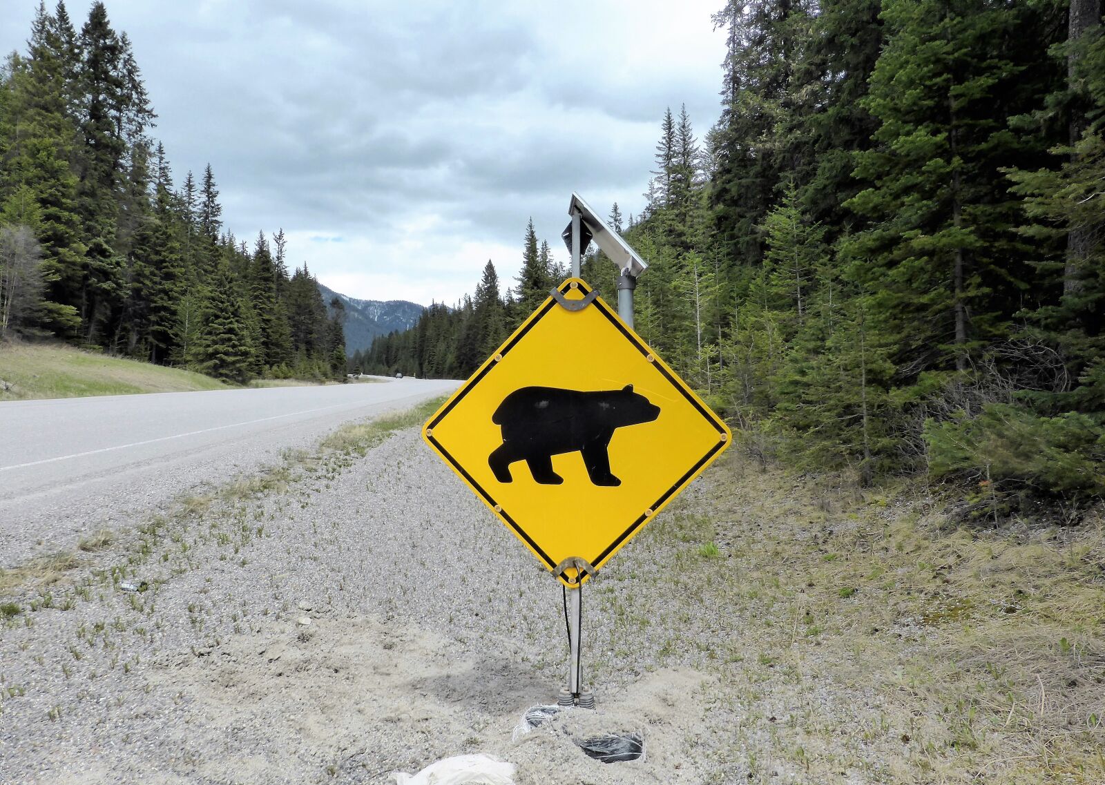 Panasonic Lumix DMC-ZS30 (Lumix DMC-TZ40) sample photo. Road sign, warning, bear photography