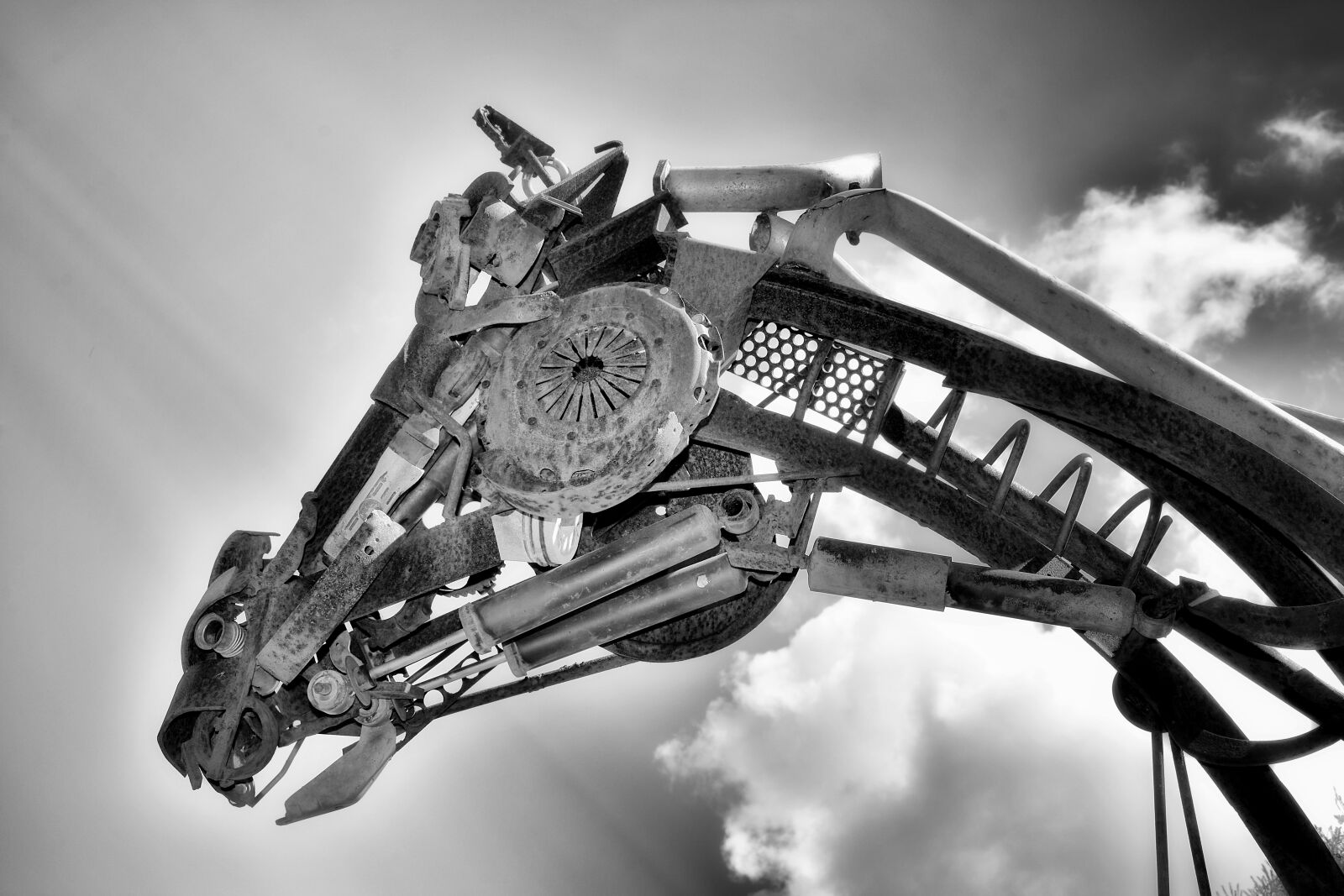 Nikon D7100 sample photo. Sculpture, horse, metal photography