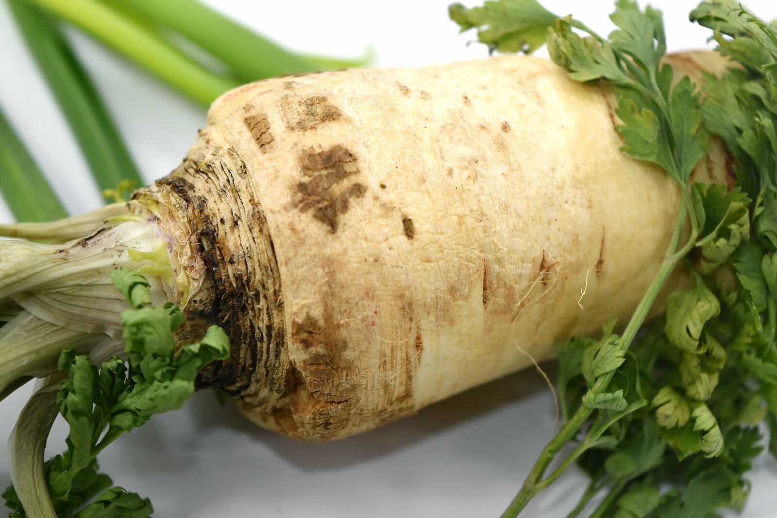 Nikon D5500 sample photo. Aromatic, celery, green leaves photography