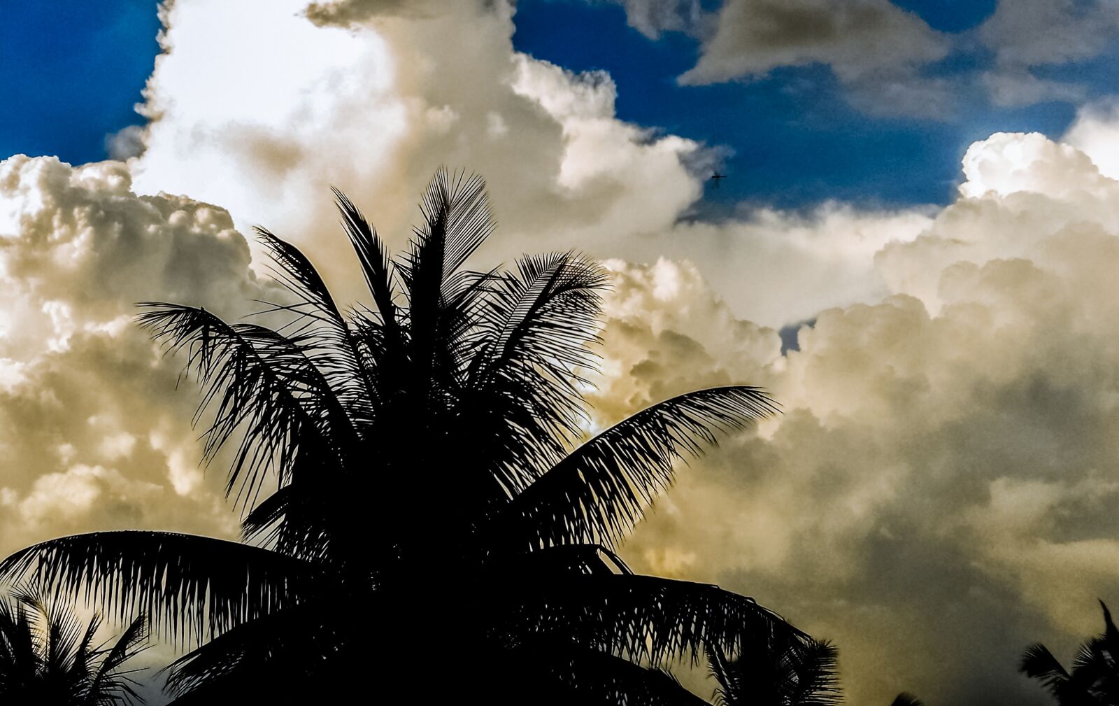 Sony Cyber-shot DSC-W510 sample photo. Clouds, sky, tree photography