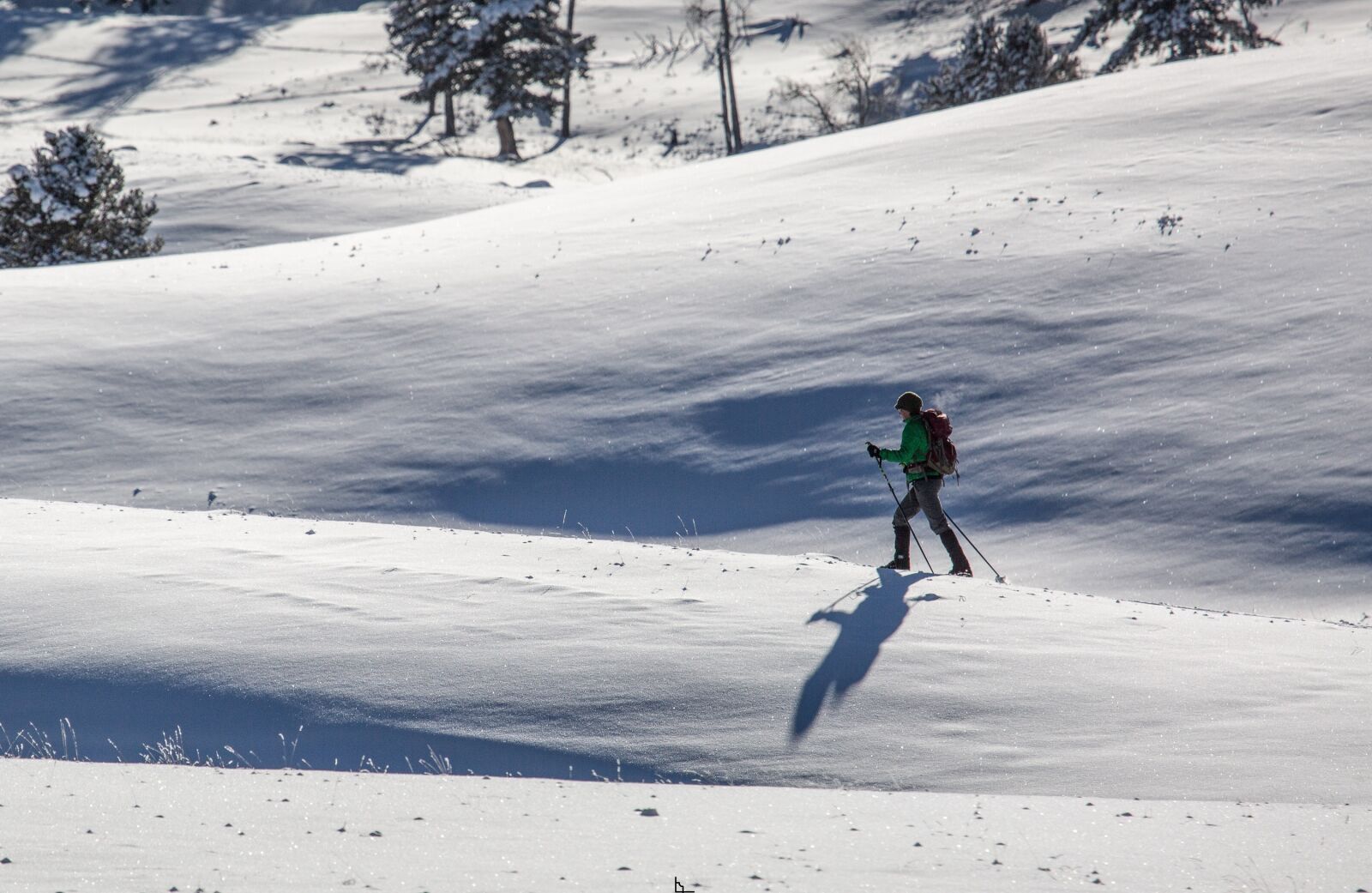 Canon EF 100-400mm F4.5-5.6L IS USM sample photo. Cross country, skier, snow photography