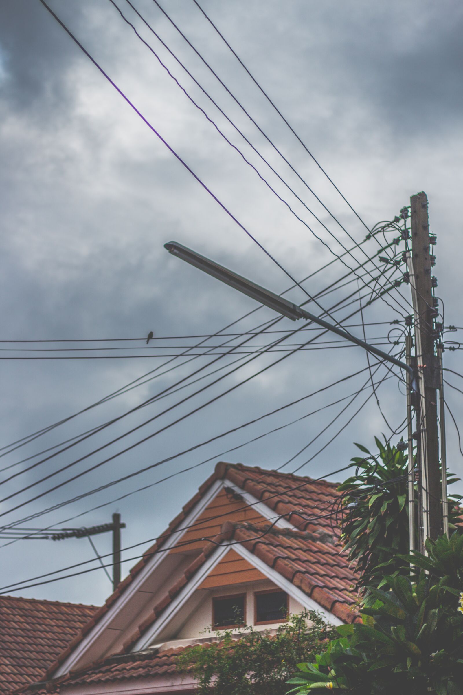 Canon EOS 700D (EOS Rebel T5i / EOS Kiss X7i) + Canon EF 50mm F1.8 STM sample photo. Home, roof, birds photography