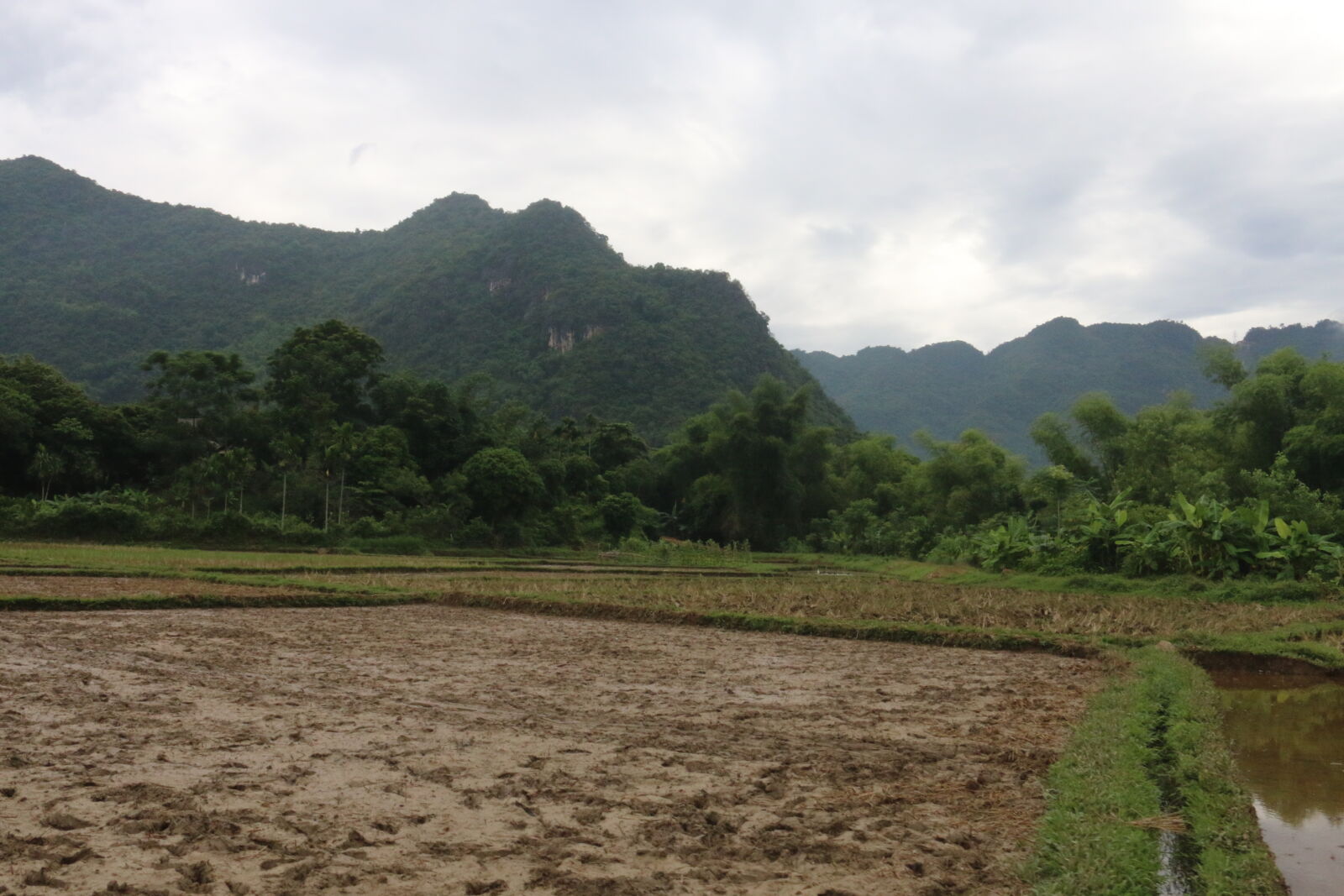 Canon EOS 70D sample photo