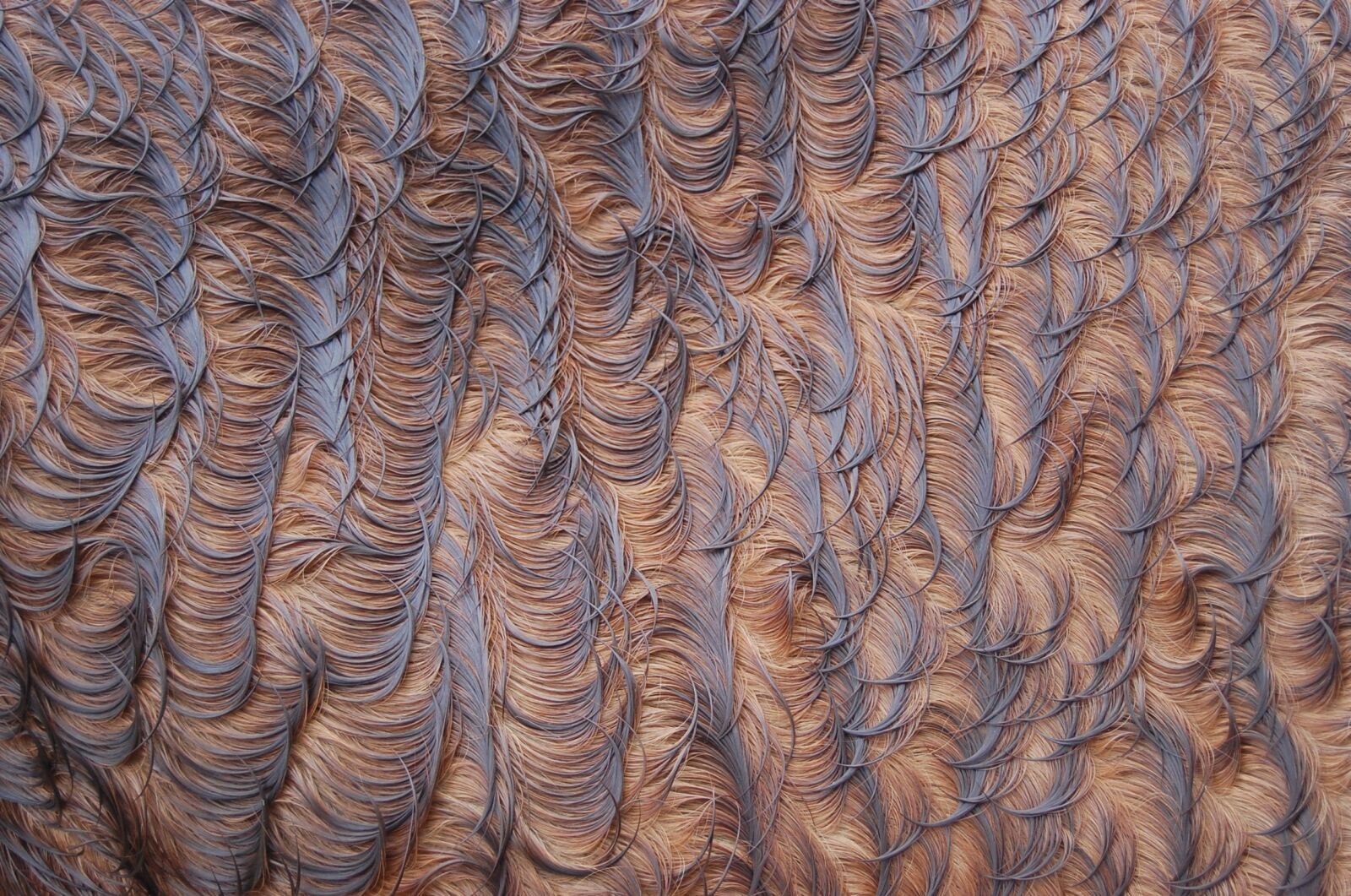 Nikon D40 sample photo. Pattern, background, texture photography