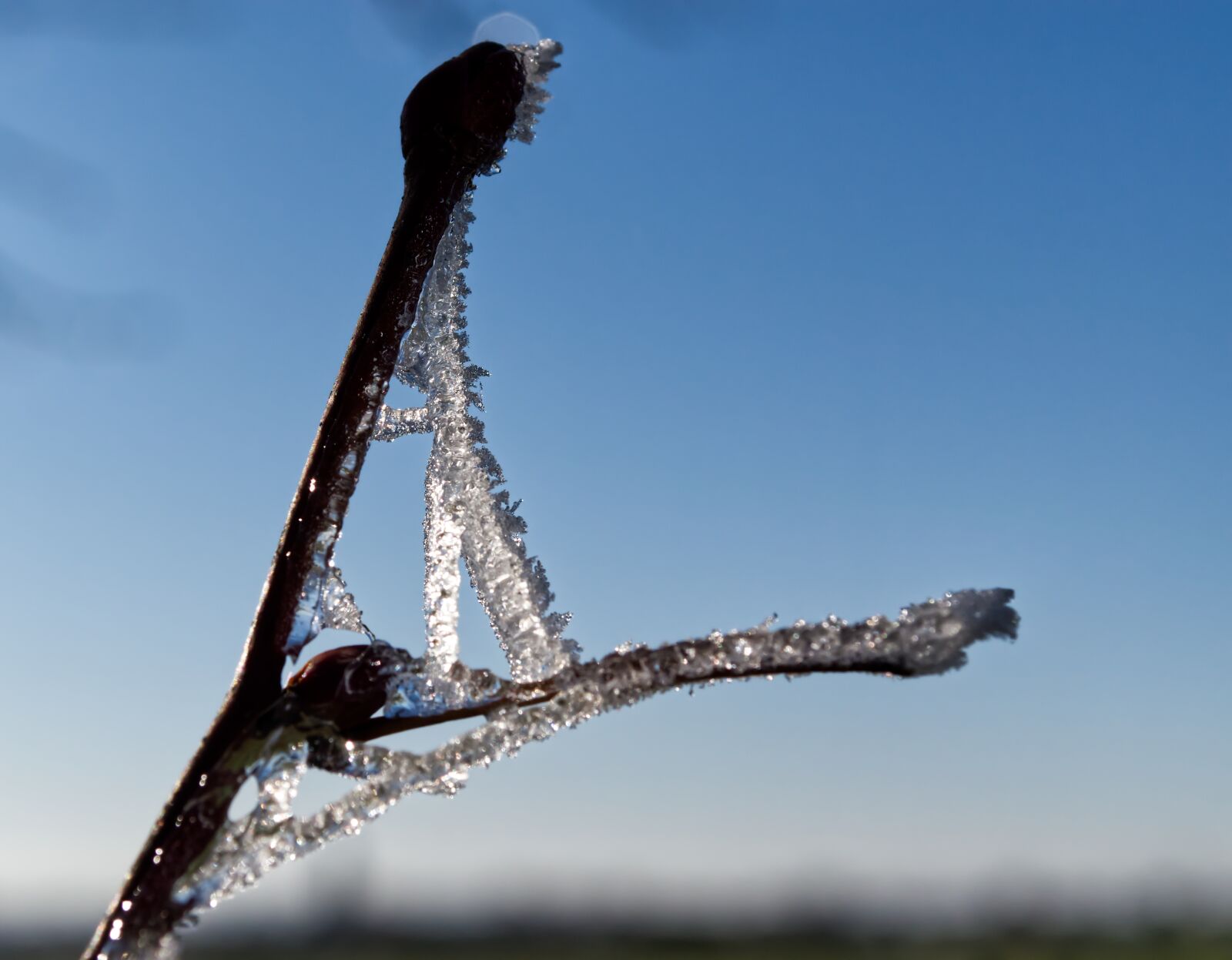 Nikon D5500 sample photo. Winter, ice, snow photography