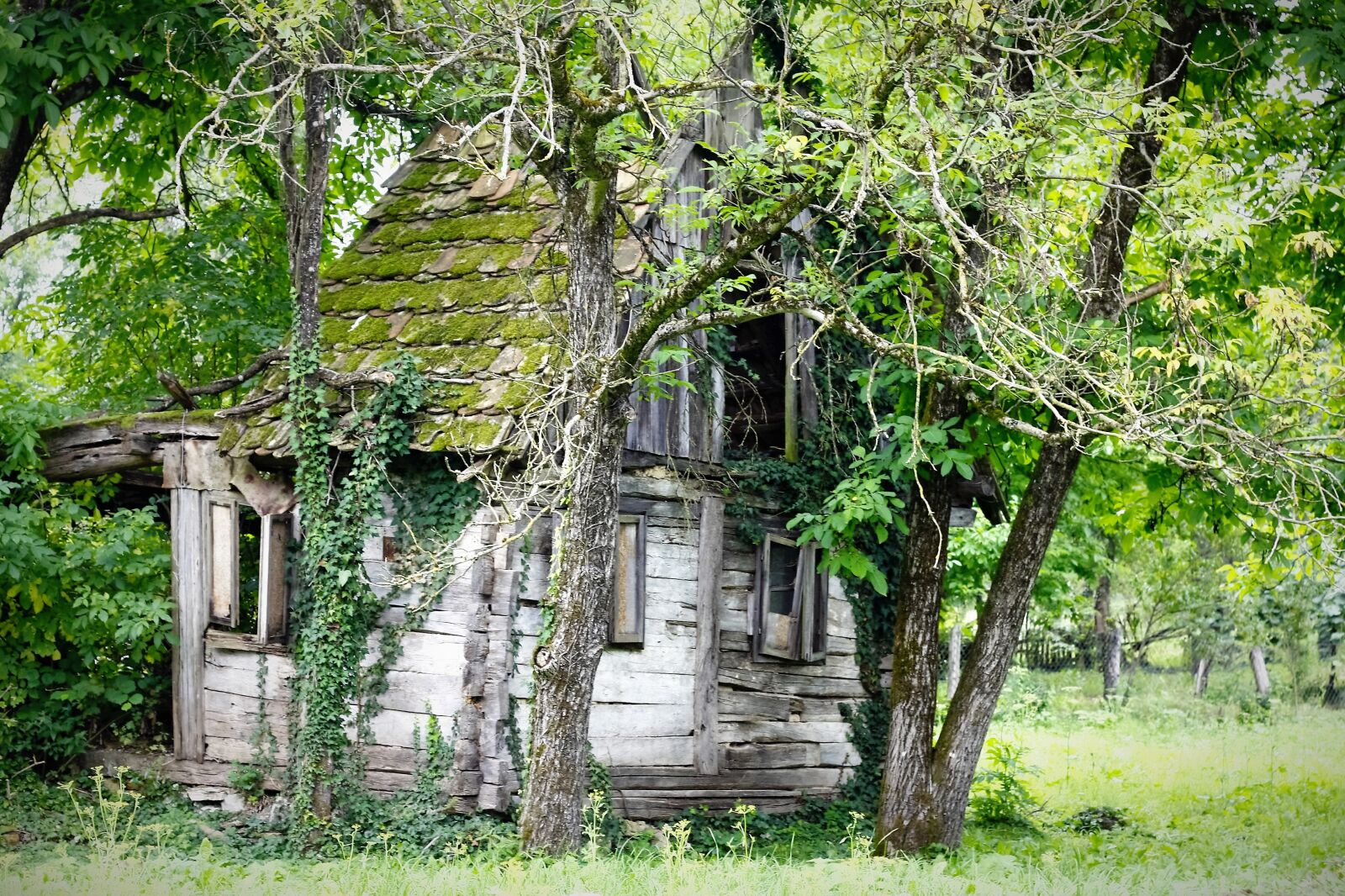 Canon EOS 40D sample photo. Ruins, house, outdoor photography