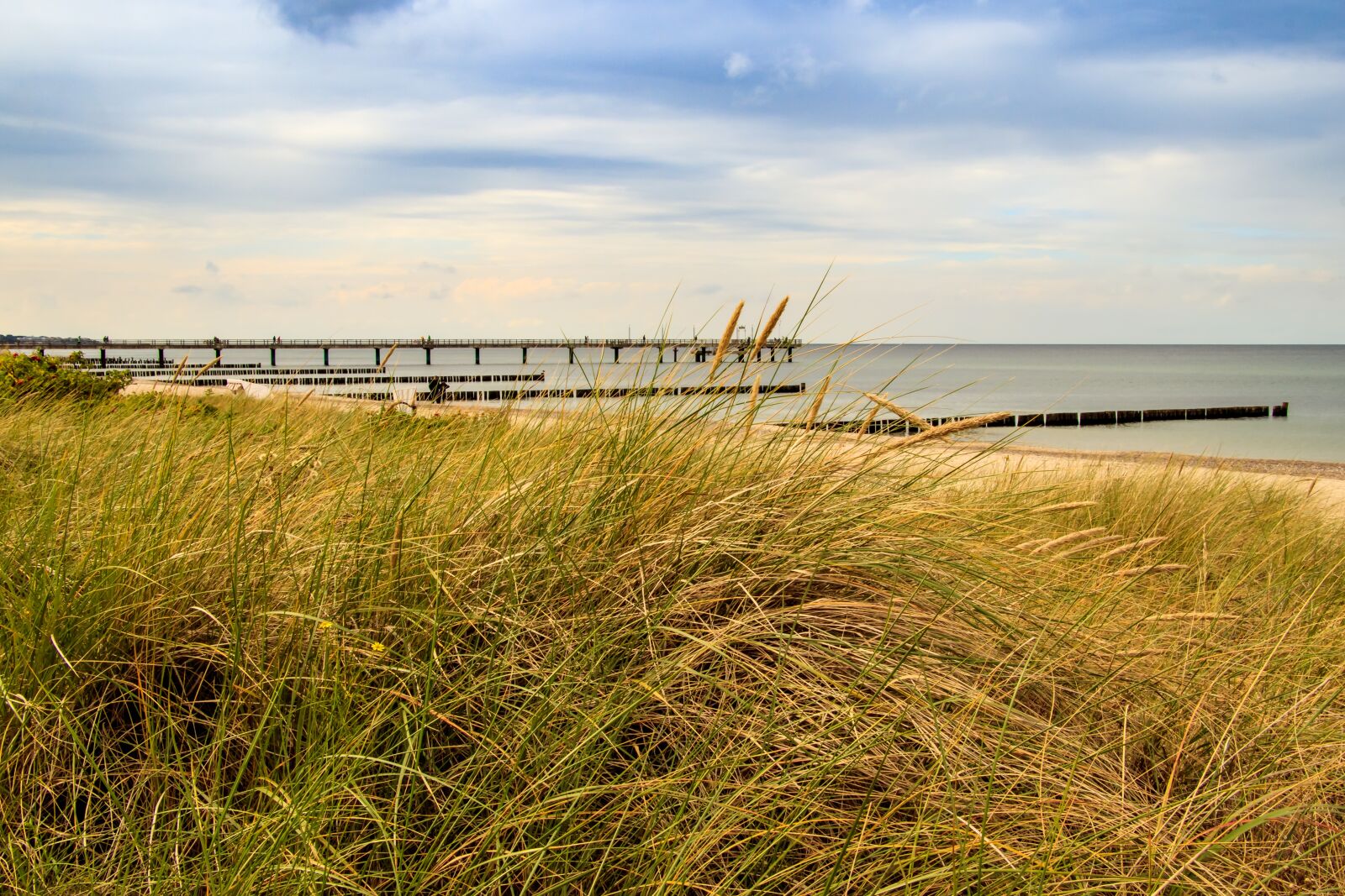 Canon EOS 80D sample photo. Baltic sea, beach, sea photography