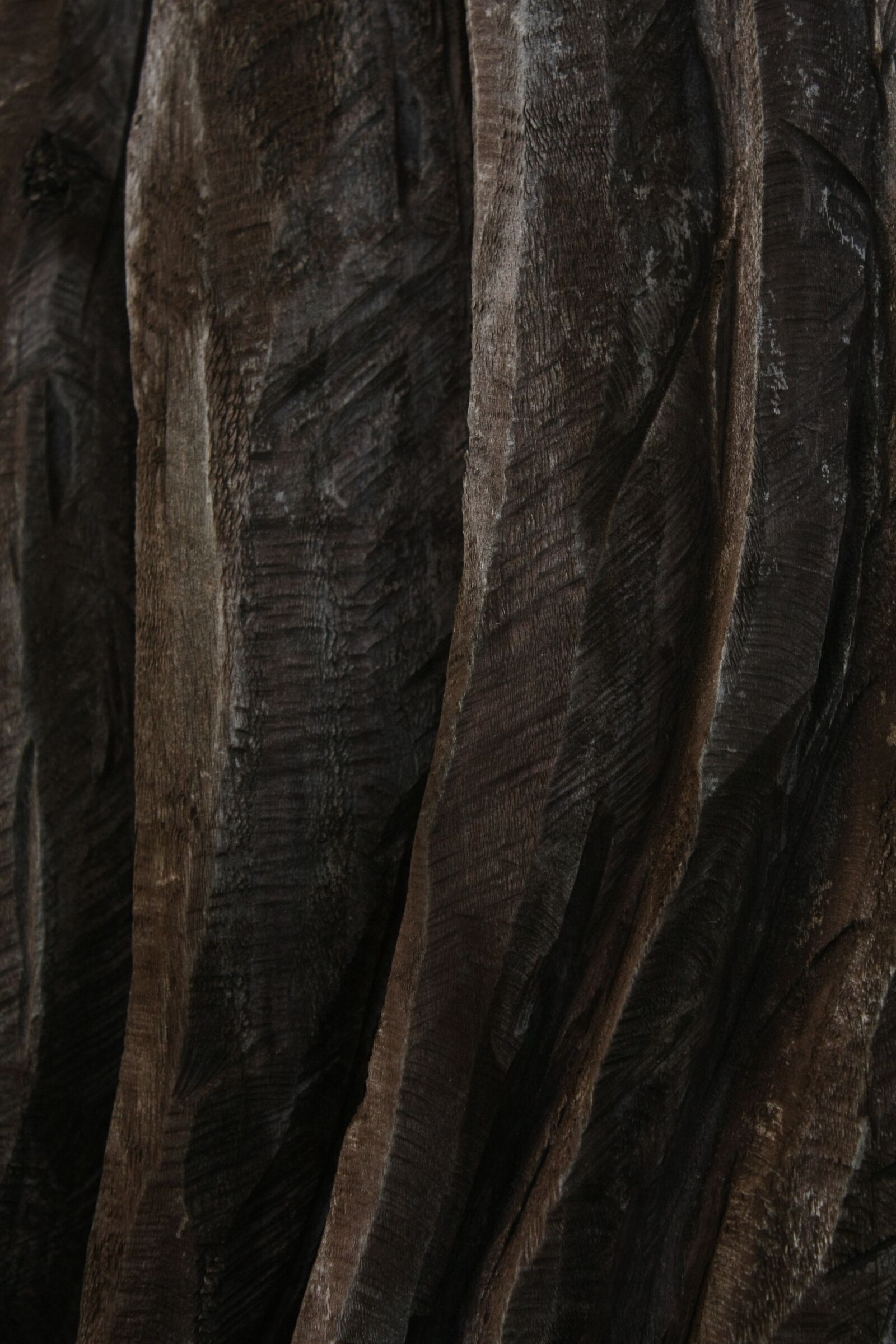 Canon EOS 40D sample photo. Nature, carving, wood photography