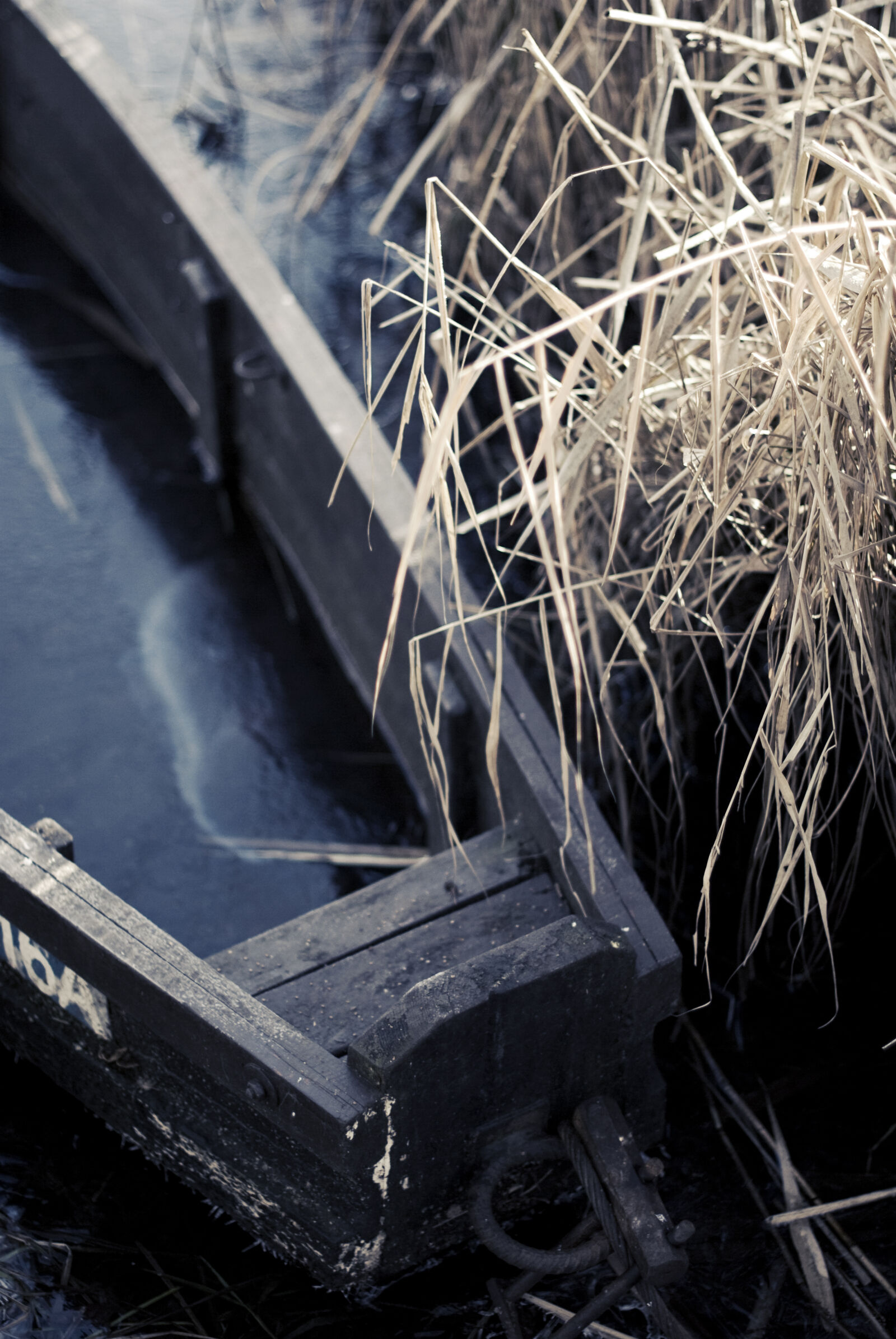 Nikon D60 sample photo. Boat photography