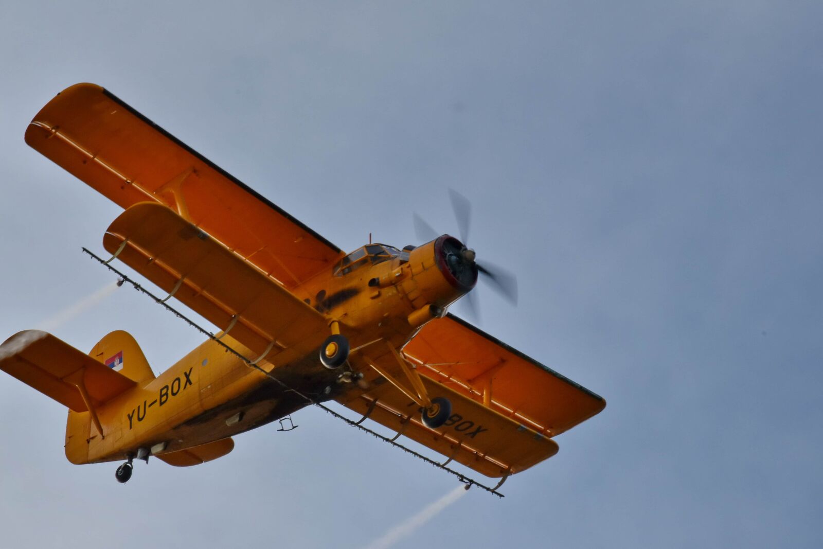Nikon D5500 sample photo. Vehicle, plane, wing, aircraft photography
