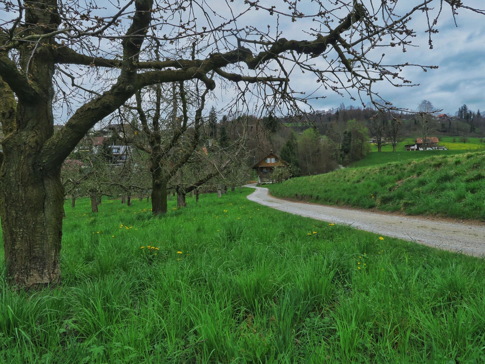 Canon PowerShot G7 X sample photo. Farmhouse, green, orchard, rural photography