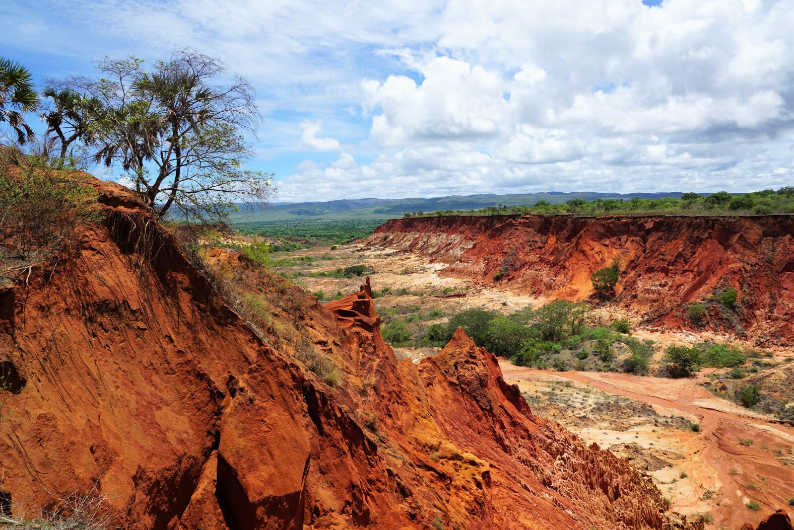 Sony ILCA-77M2 + Sony DT 16-50mm F2.8 SSM sample photo. Park, madagascar, tsingy rouge photography