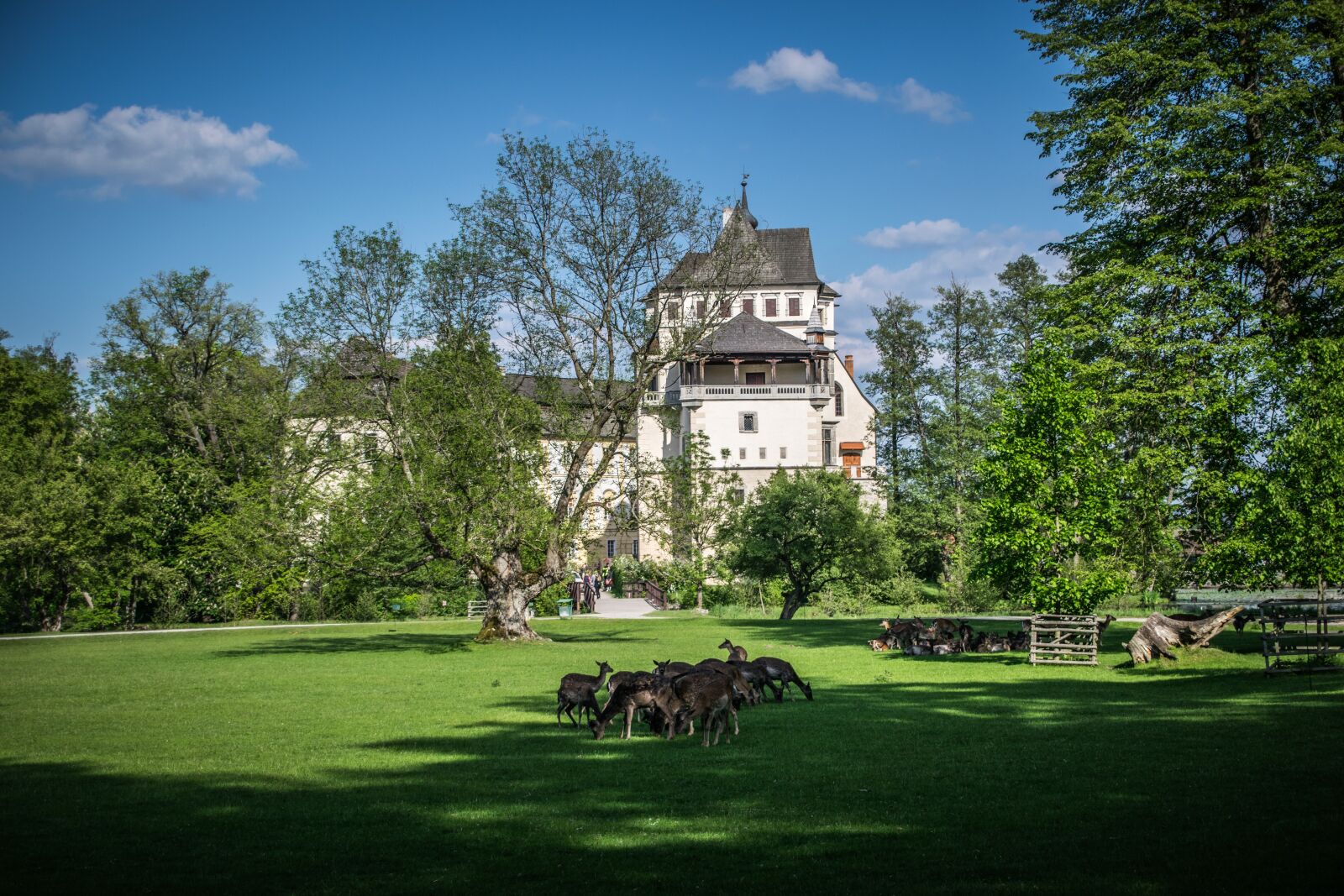Nikon D5300 sample photo. Castle, park, architecture photography