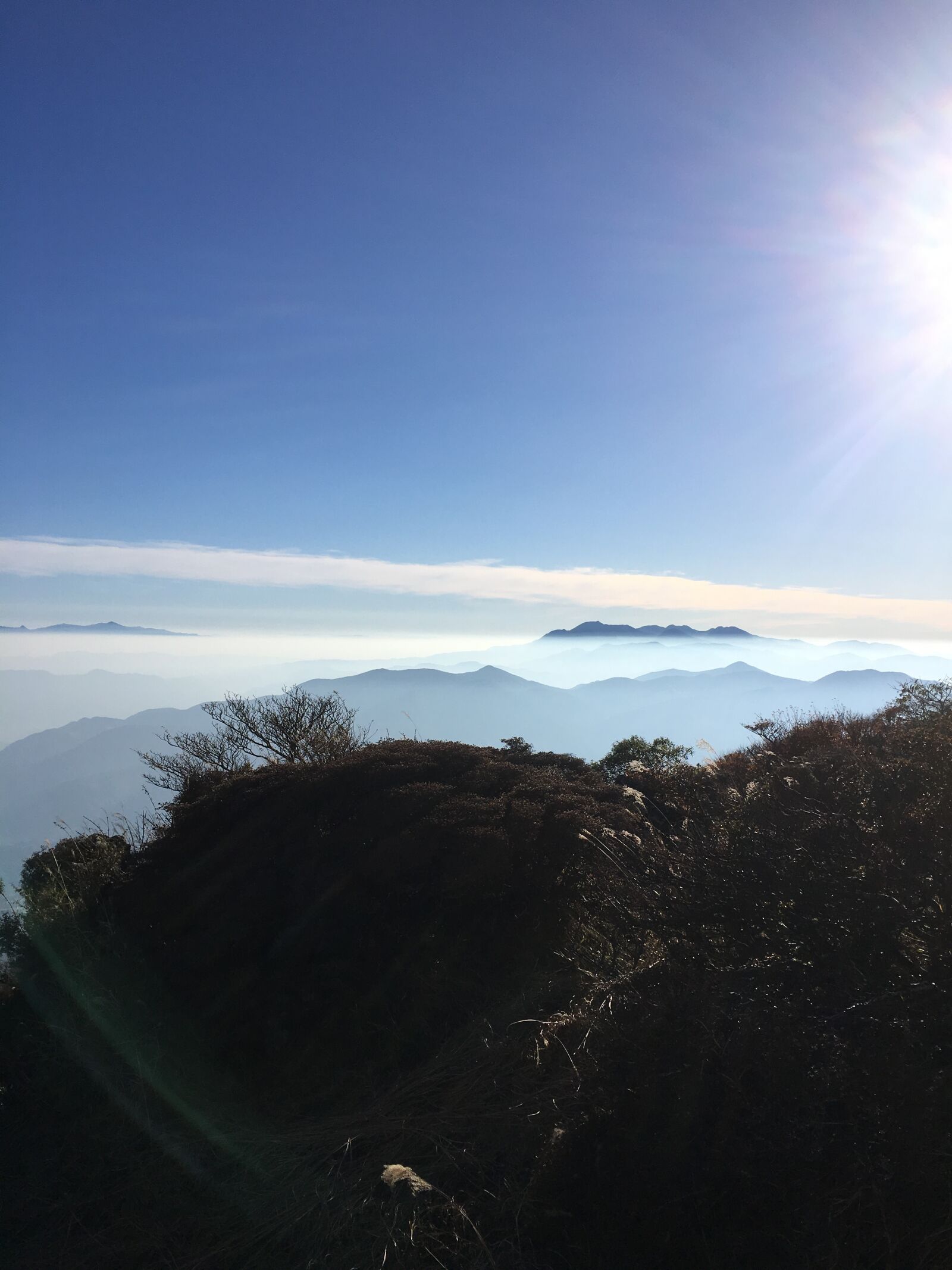 iPhone 6s back camera 4.15mm f/2.2 sample photo