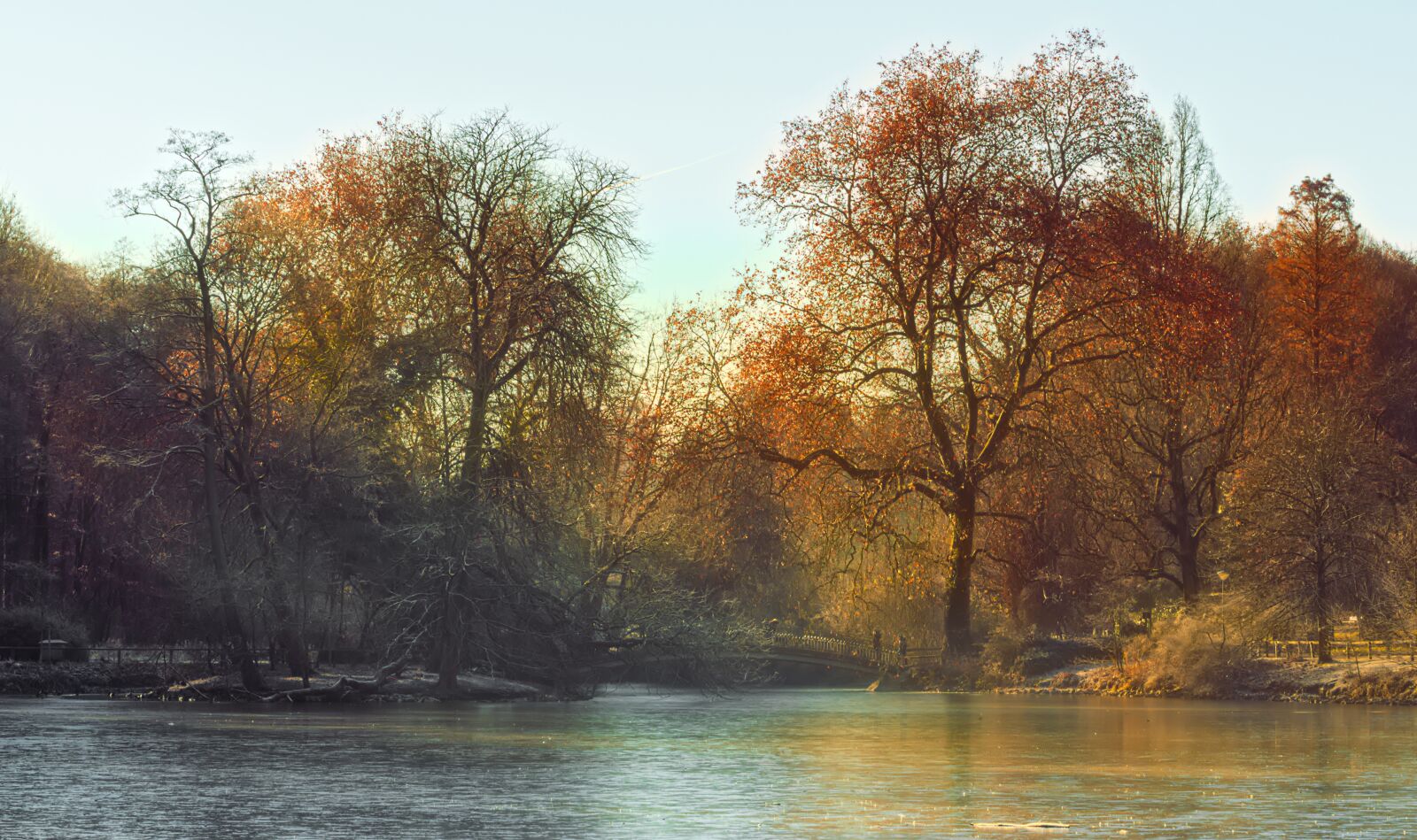Nikon D3200 sample photo. Morning light, nature, mood photography