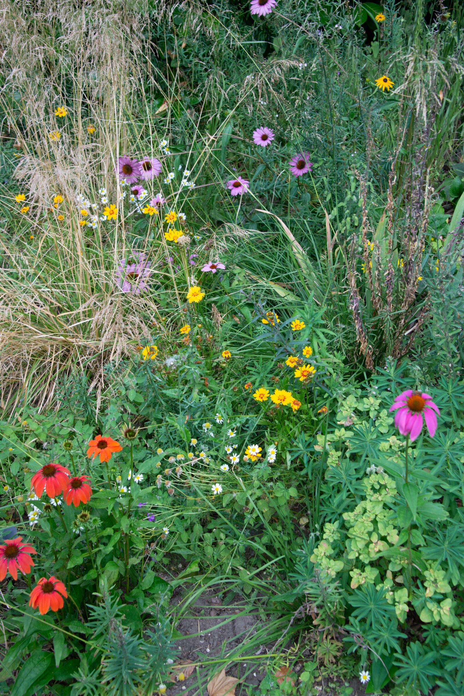 Nikon D800 sample photo. English, country, garden photography