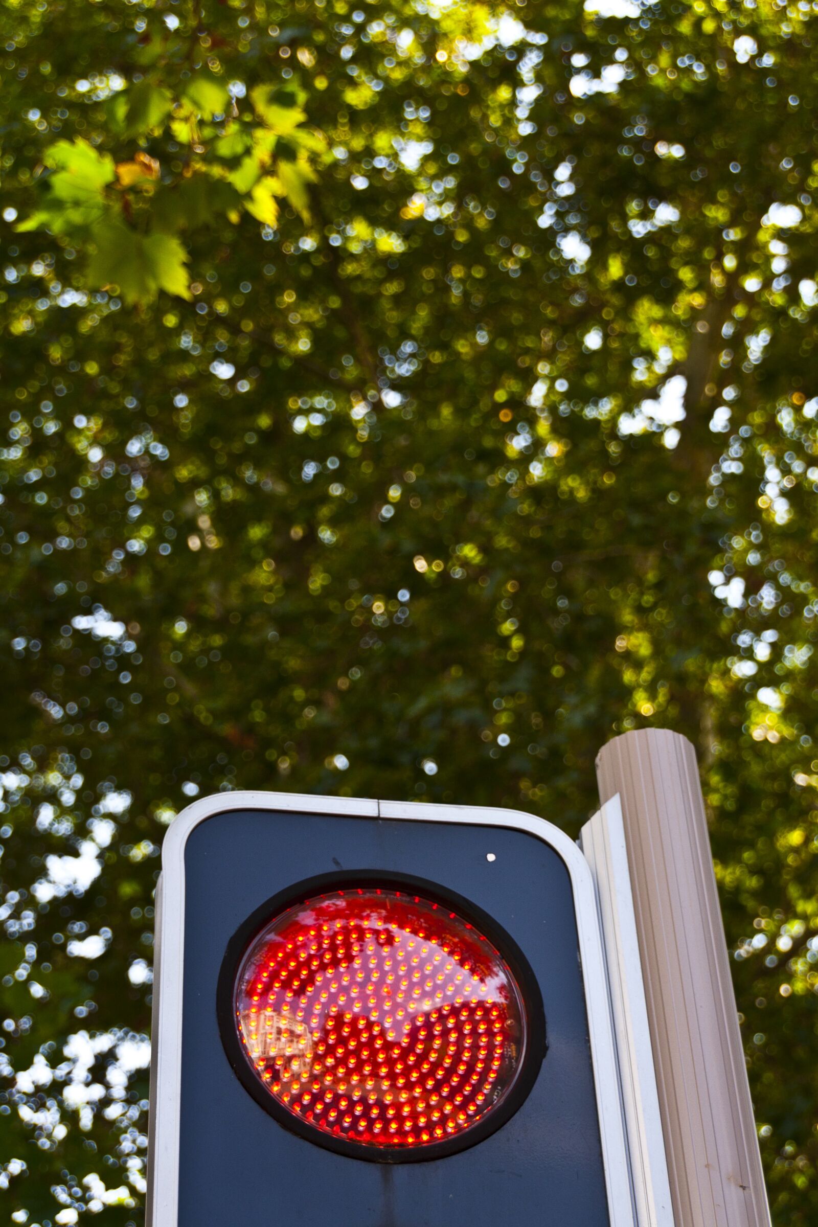 Canon EOS 350D (EOS Digital Rebel XT / EOS Kiss Digital N) sample photo. Red light, traffic, signal photography