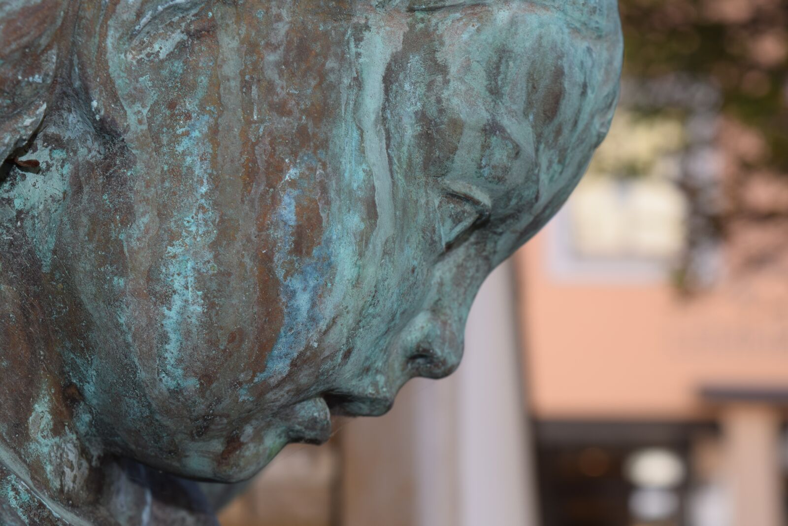 Nikon D3300 sample photo. Bronze, bronze statue, profile photography