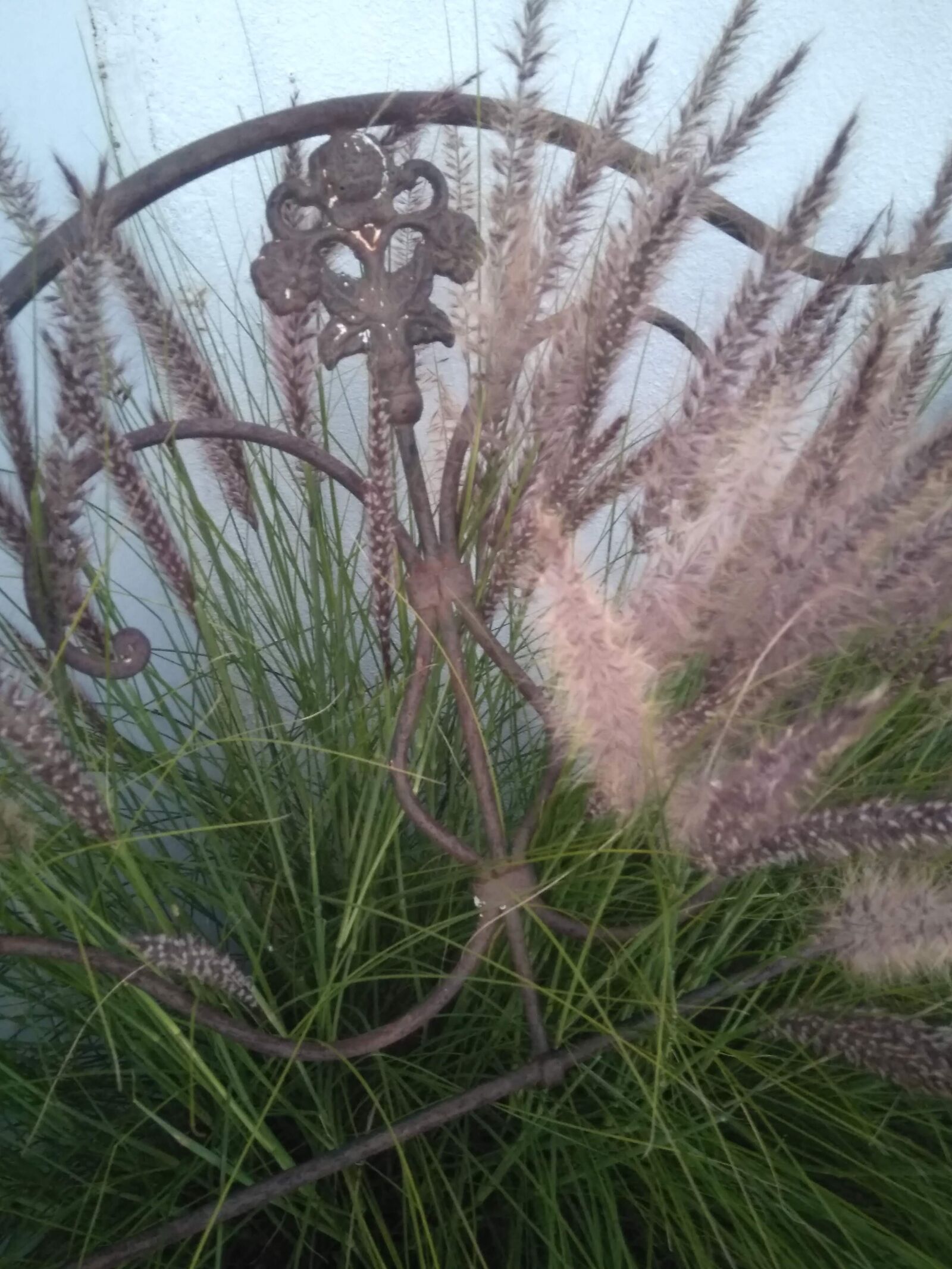 HMD Global Nokia 5 sample photo. Deco, garden, metal photography