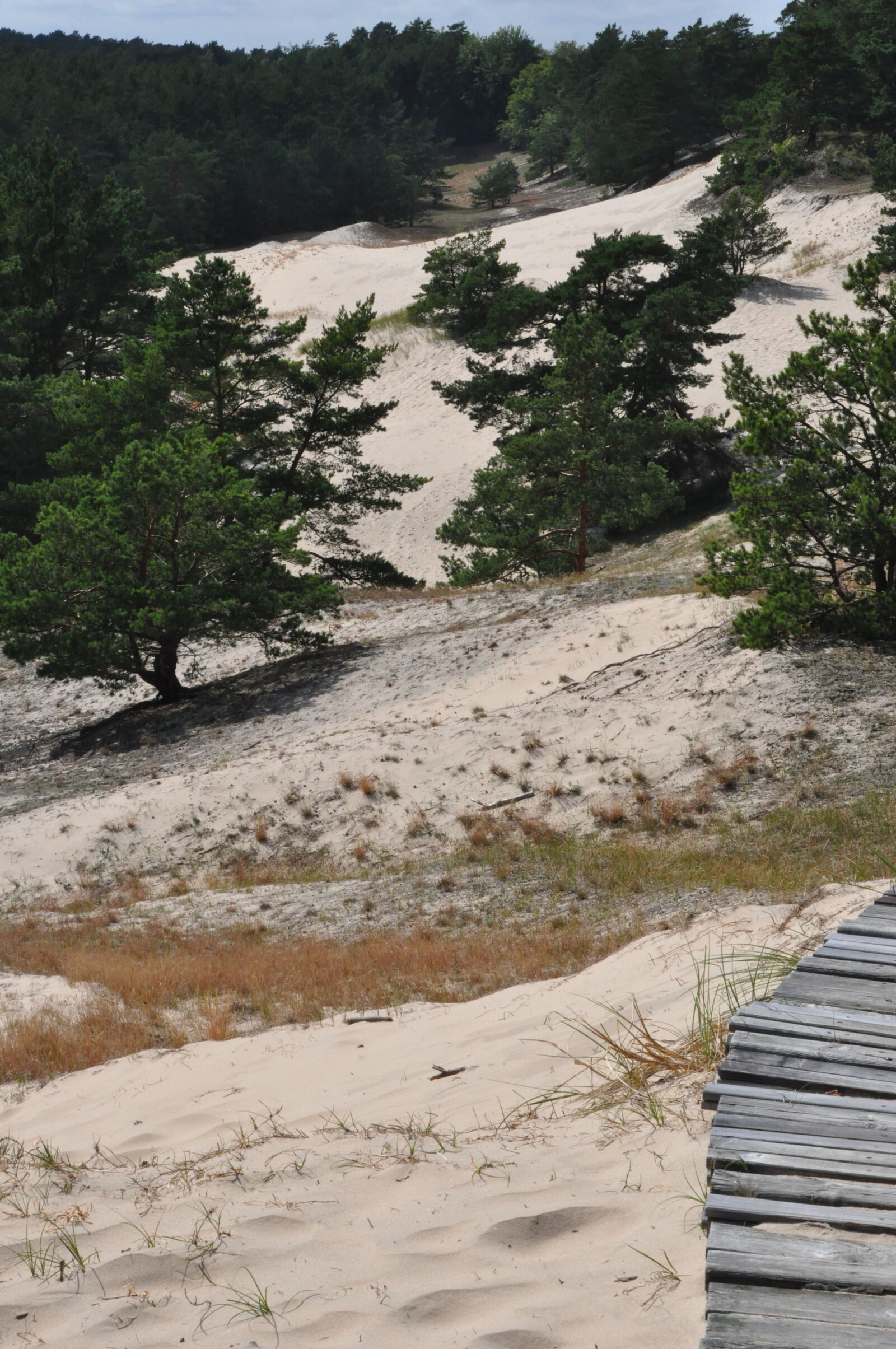 Nikon D90 sample photo. Dune, the coast, sand photography