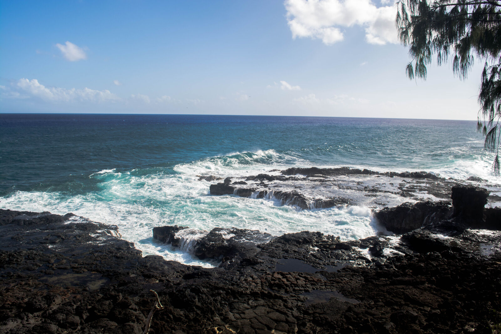 Nikon D5200 sample photo